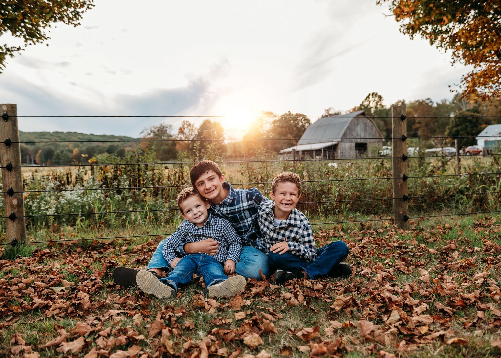 Three boys sitting on fallen leaves in front of a wooden fence with a barn and trees in the background, during sunset at cedar creek farm connecticut dog breeder puppies for sale near me 
