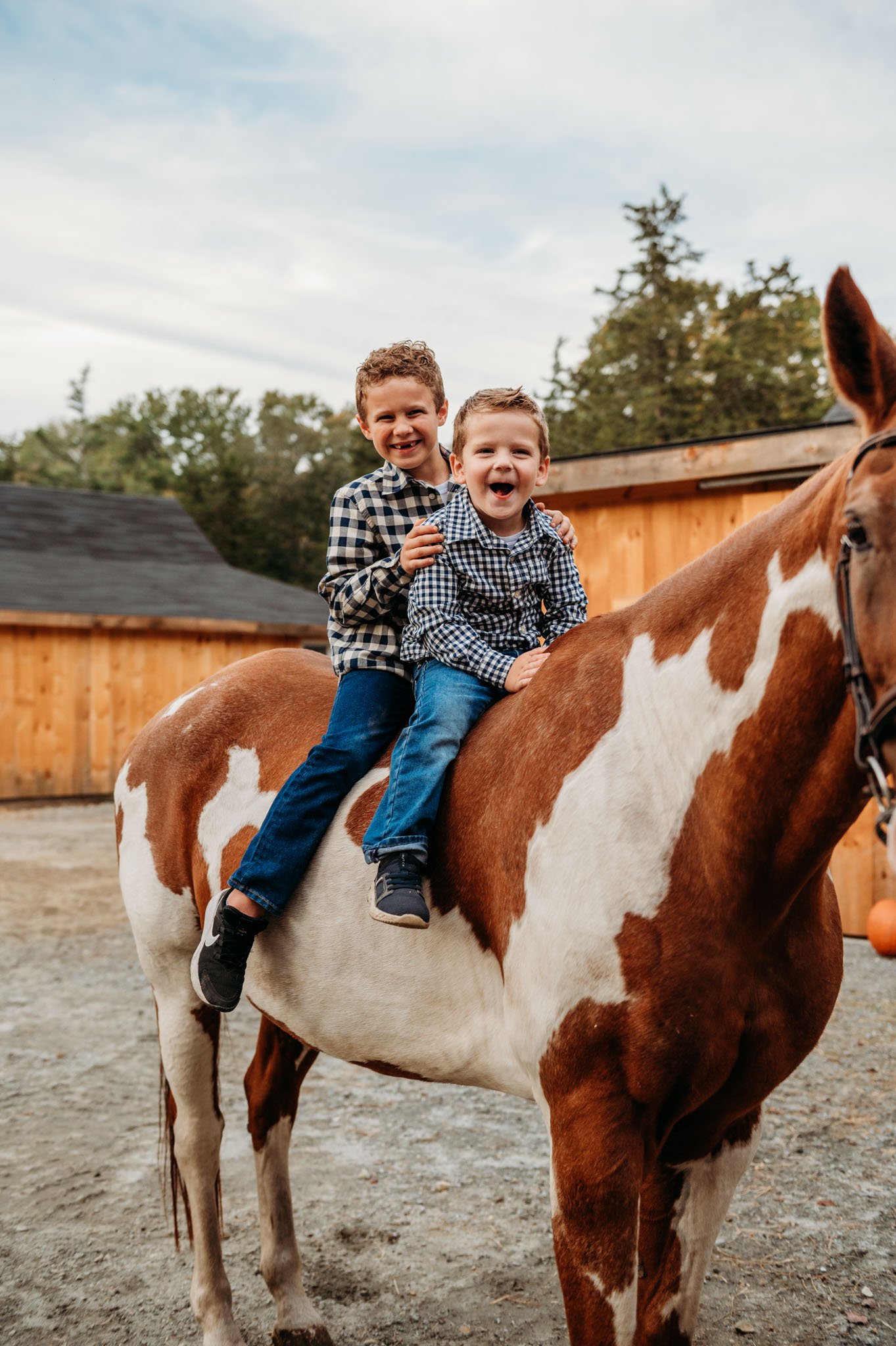 Two young boys smiling and sitting on a brown and white horse, outdoors with wooden structures and trees in the background at cedar creek farm connecticut dog breeder puppies for sale near me 