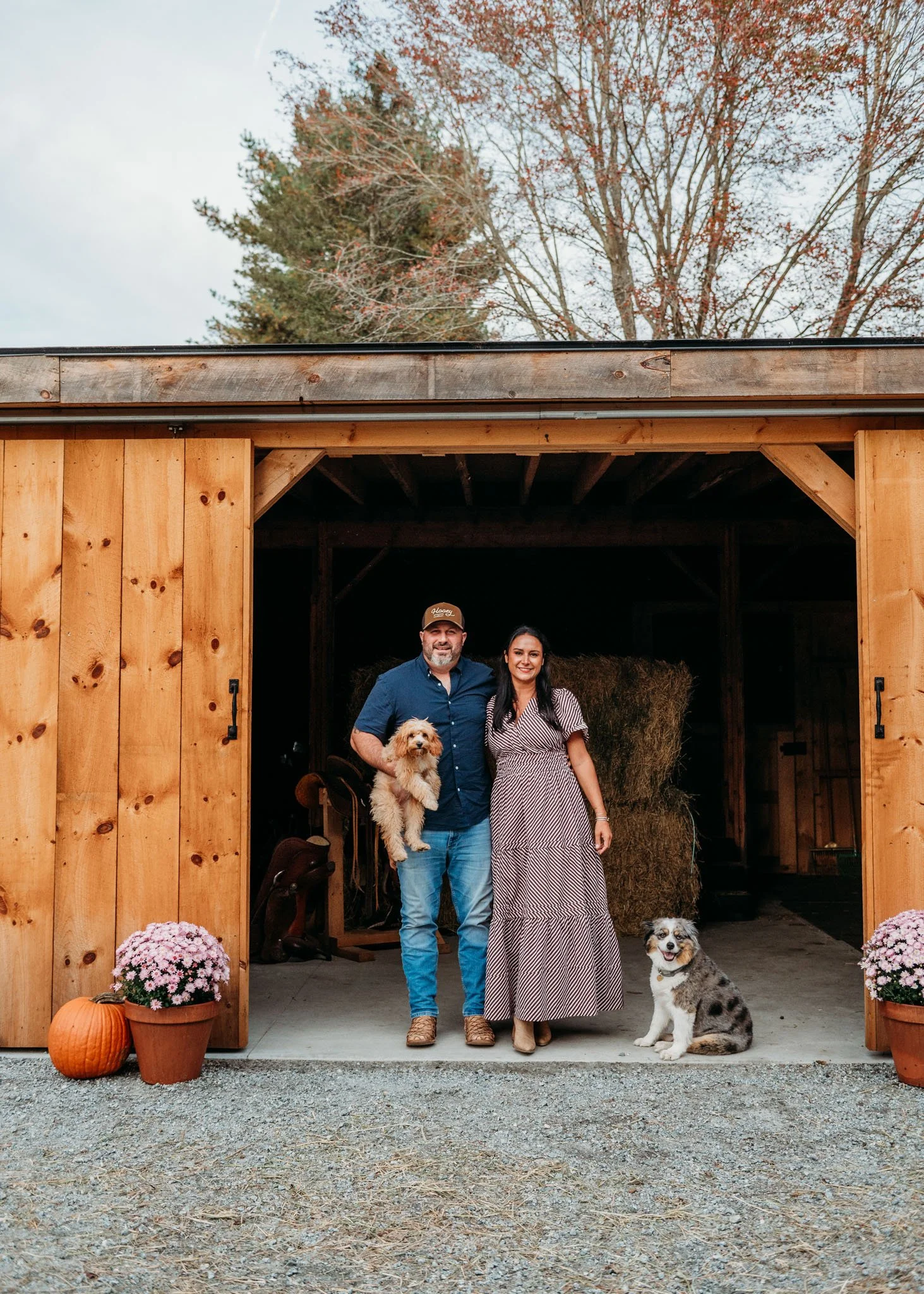 cedar creek cavapoos dog breeder in connecticut cavapoo puppies