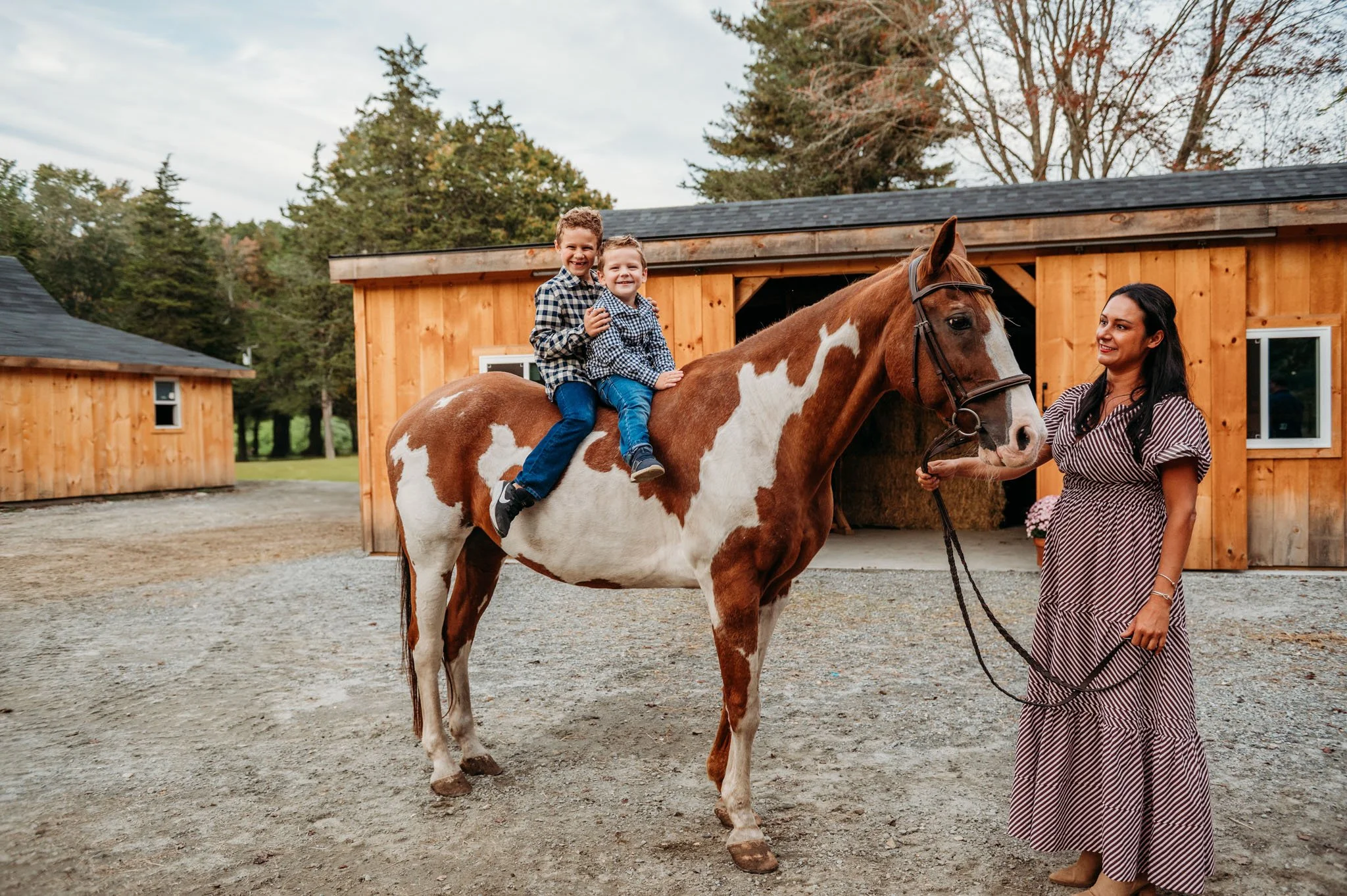 Two young boys riding a brown and white horse with Ashley standing next to them holding the horse's reins outside a wooden barn at cedar creek farm connecticut dog breeder puppies for sale near me 
