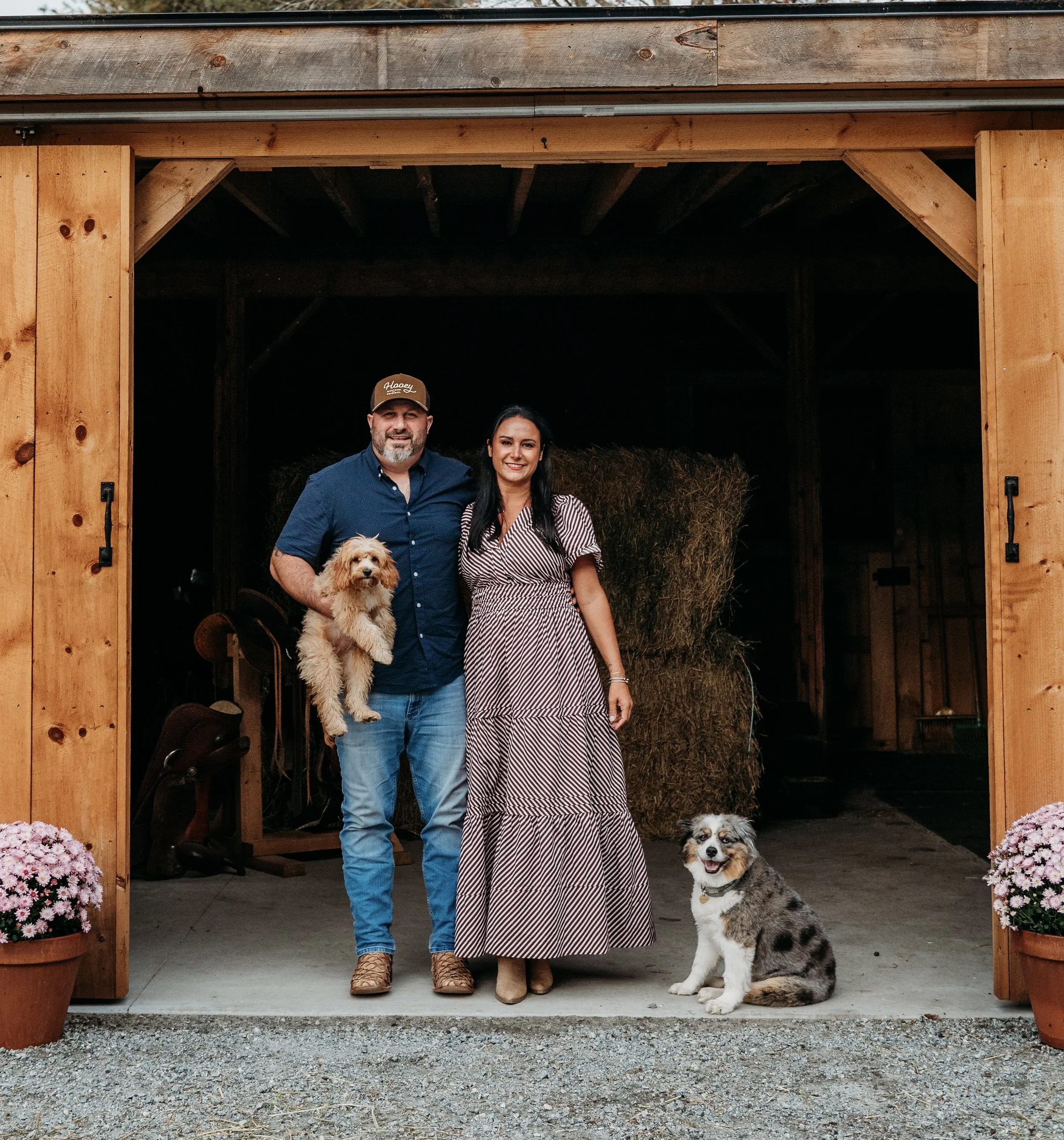 Cedar creek farm ashley and rob dog breeding program cavapoo puppies ct