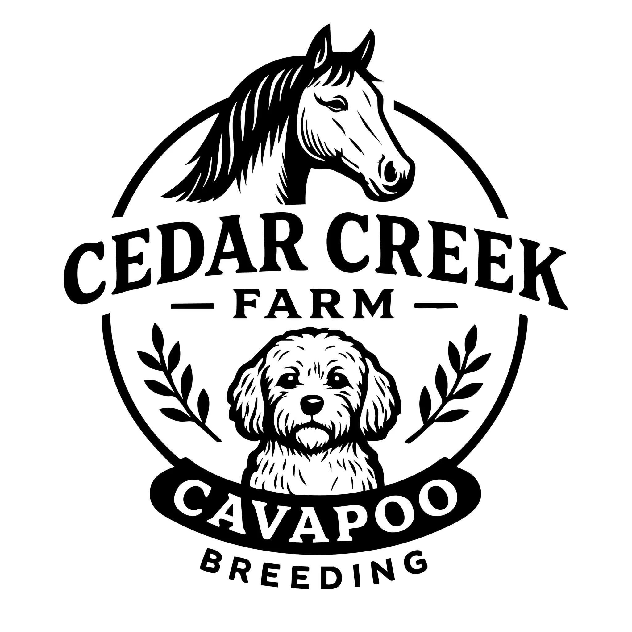 Logo for Cedar Creek Farm cavapoos for sale dog breeder in connecticut