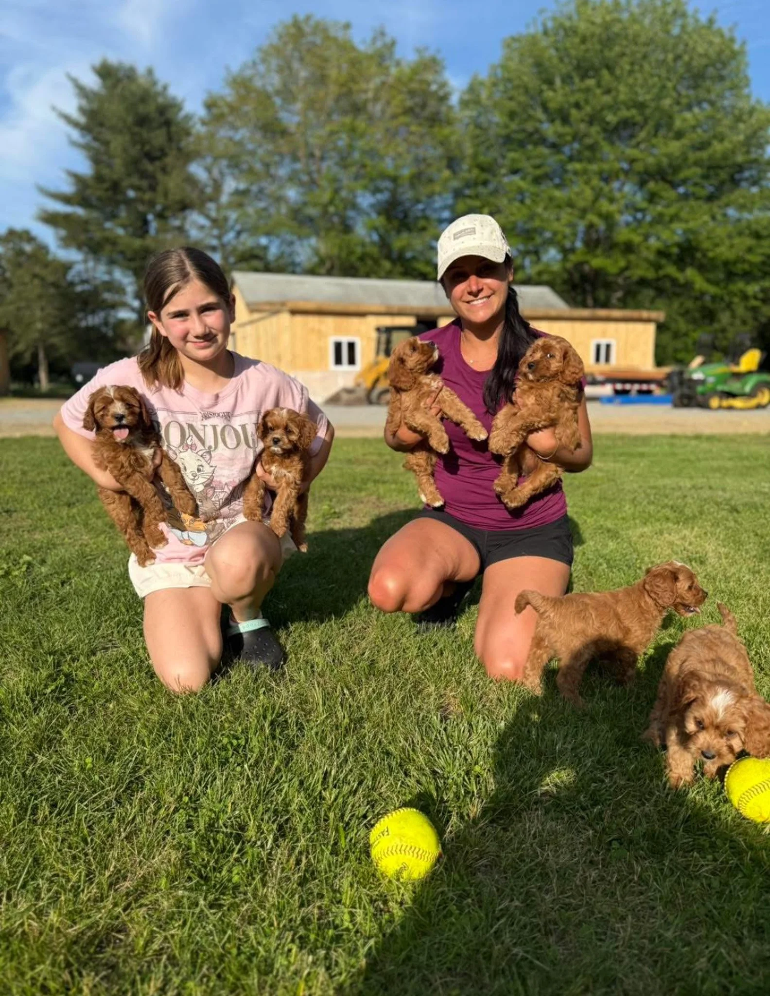 Ashley and Lily posing outdoors with multiple cavapoo puppies, some on their arms and some on the grass, with yellow tennis balls and a farm building in the background on a sunny day at cedar creek farm connecticut dog breeder puppies for sale near m