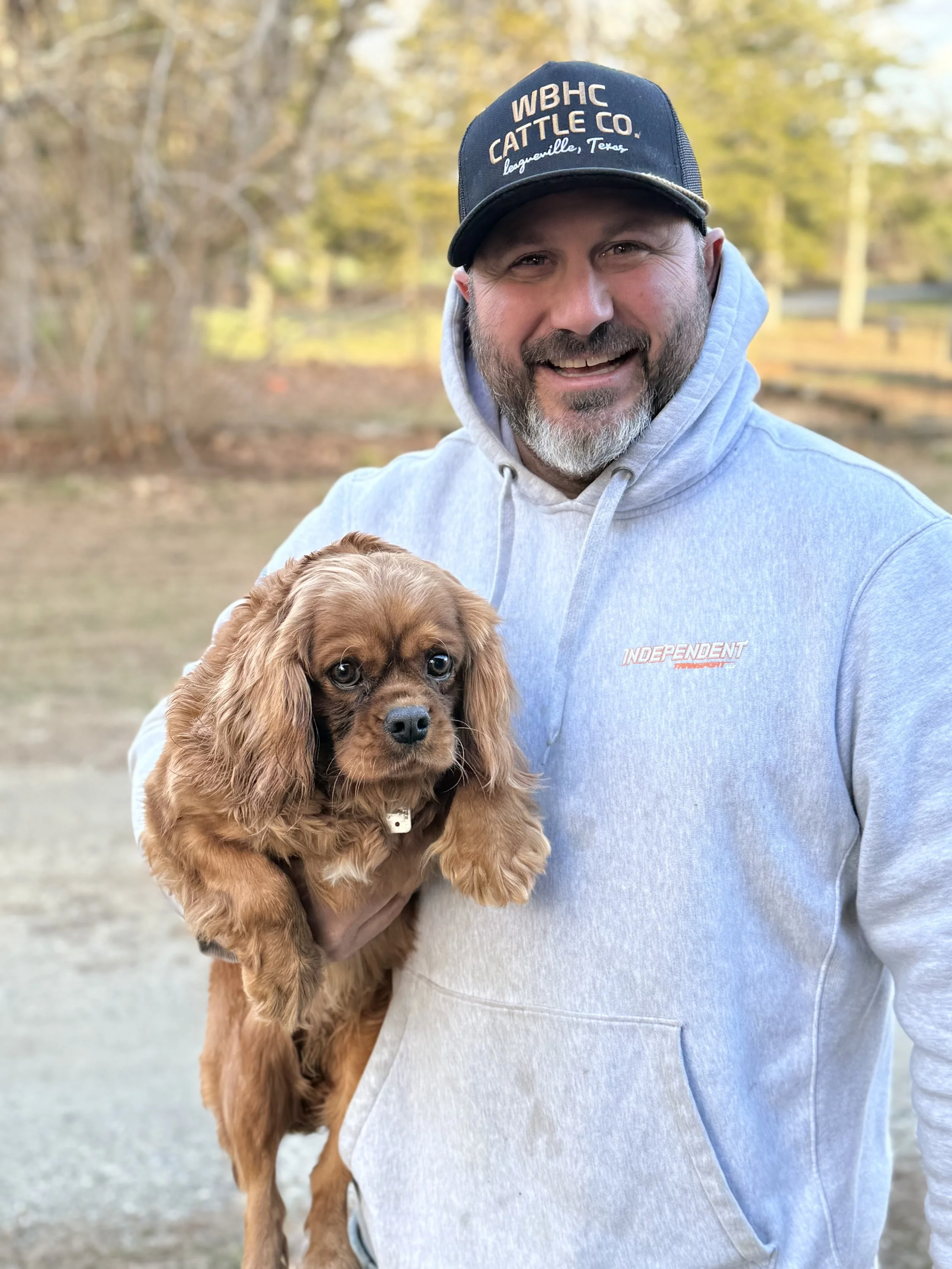 cedar creek farm cavapoos ct questions on your cavapoo puppy