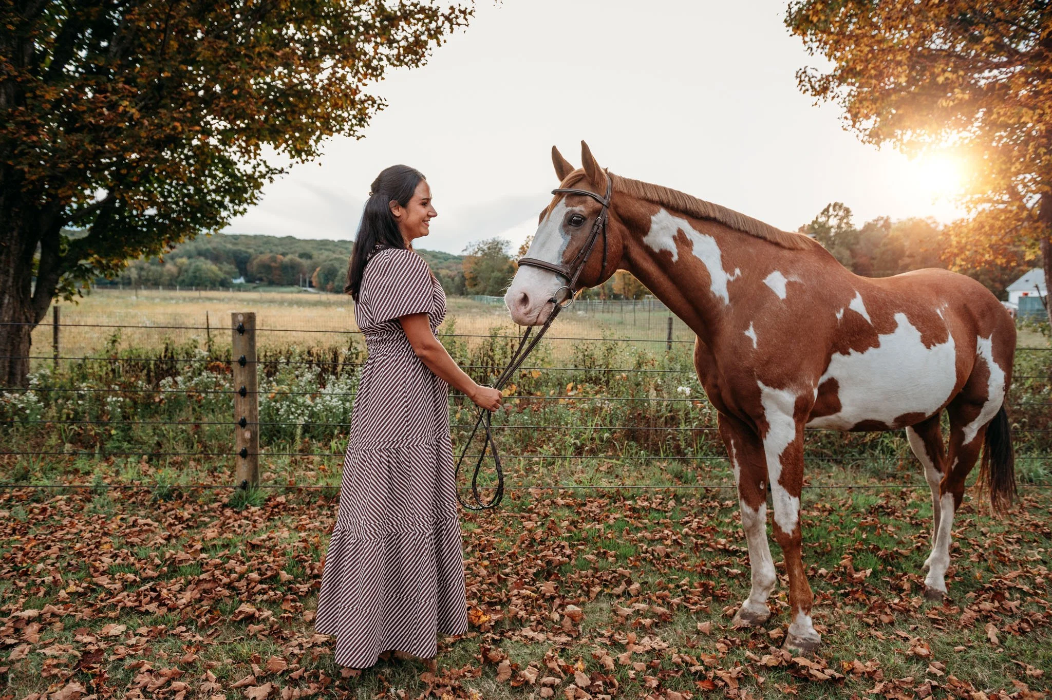 Ashley holding the bridle of a chestnut and white paint horse in a field surrounded by autumn trees and fallen leaves, with sunlight in the background at cedar creek farm connecticut dog breeder puppies for sale near me 