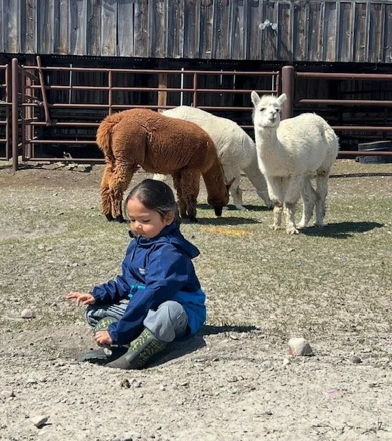 Lets play in the dirt