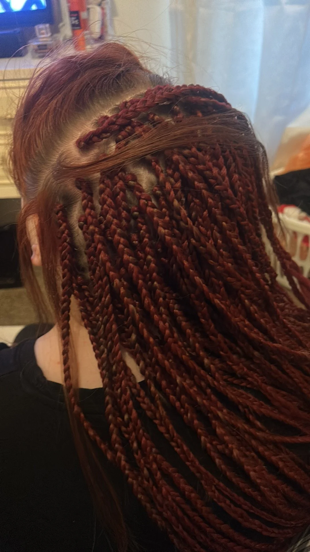 Close-up of a woman with red braids, showing the back of her head and hair.