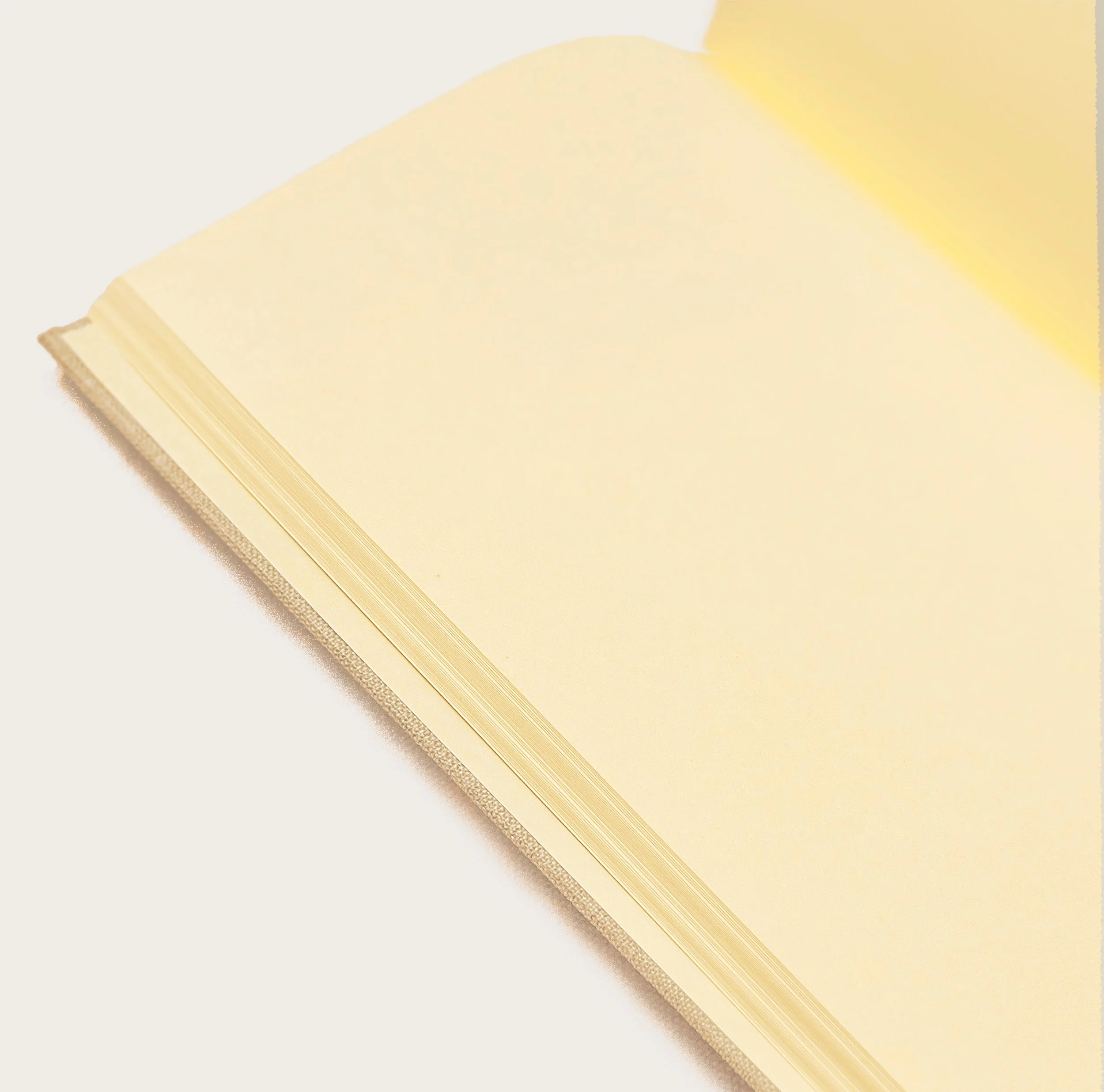 ArtNouvNB4blankpages.jpg