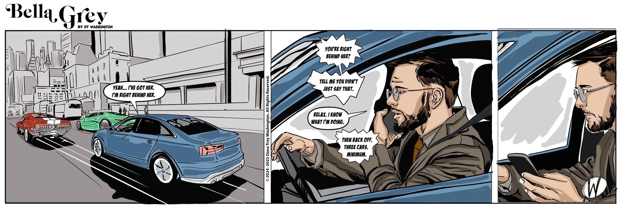 Bella Grey_strip36.jpg