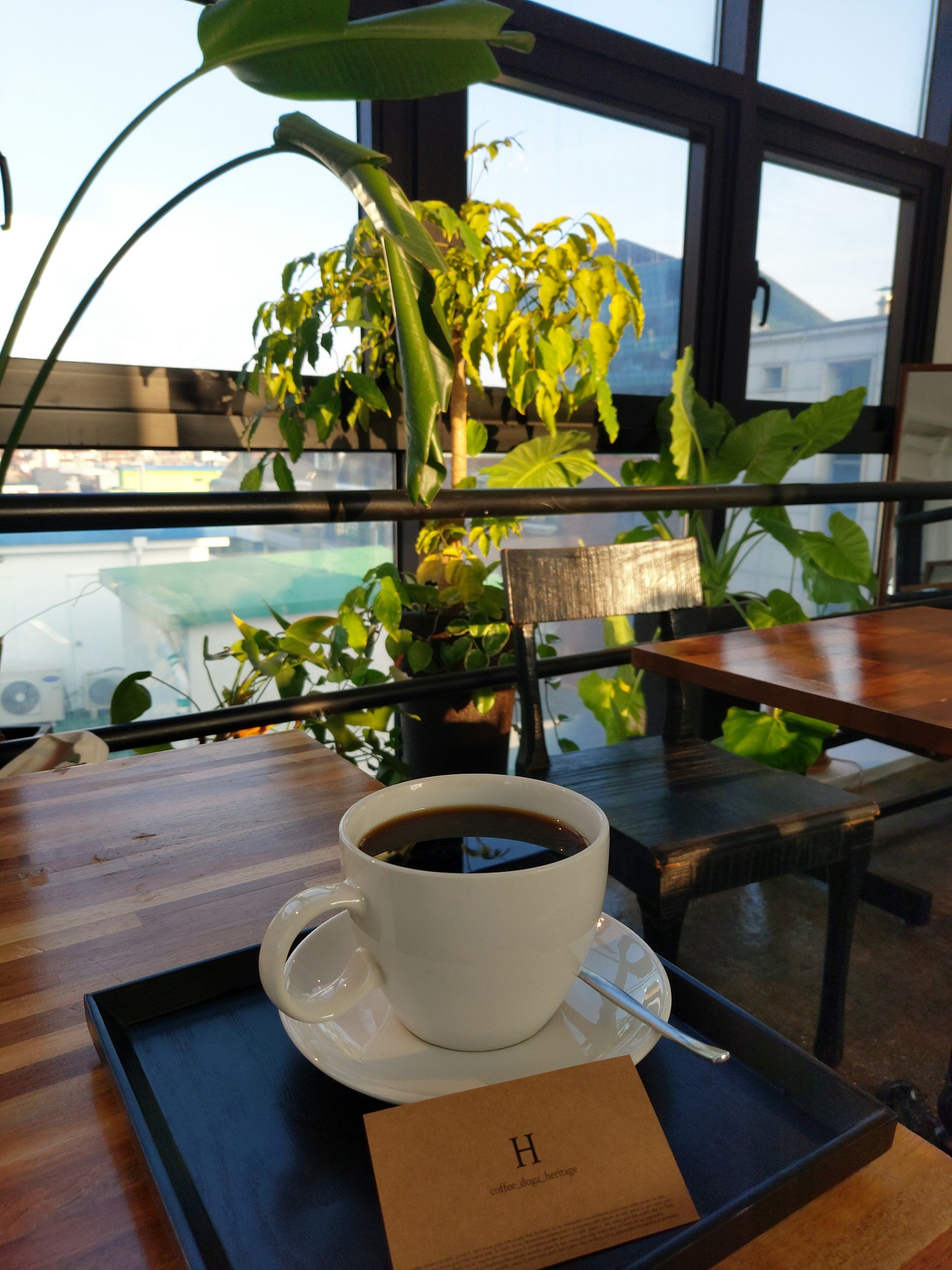 A white cup of black coffee on a saucer with a small spoon, placed on a black tray on a wooden table in a cafe. Behind the cup, there are large green plants and a glass window showing buildings outside.