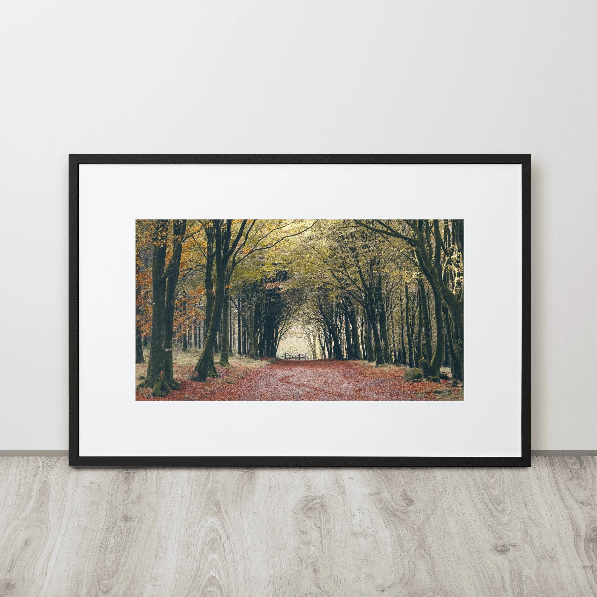 Postbridge Woods in Autumn Framed