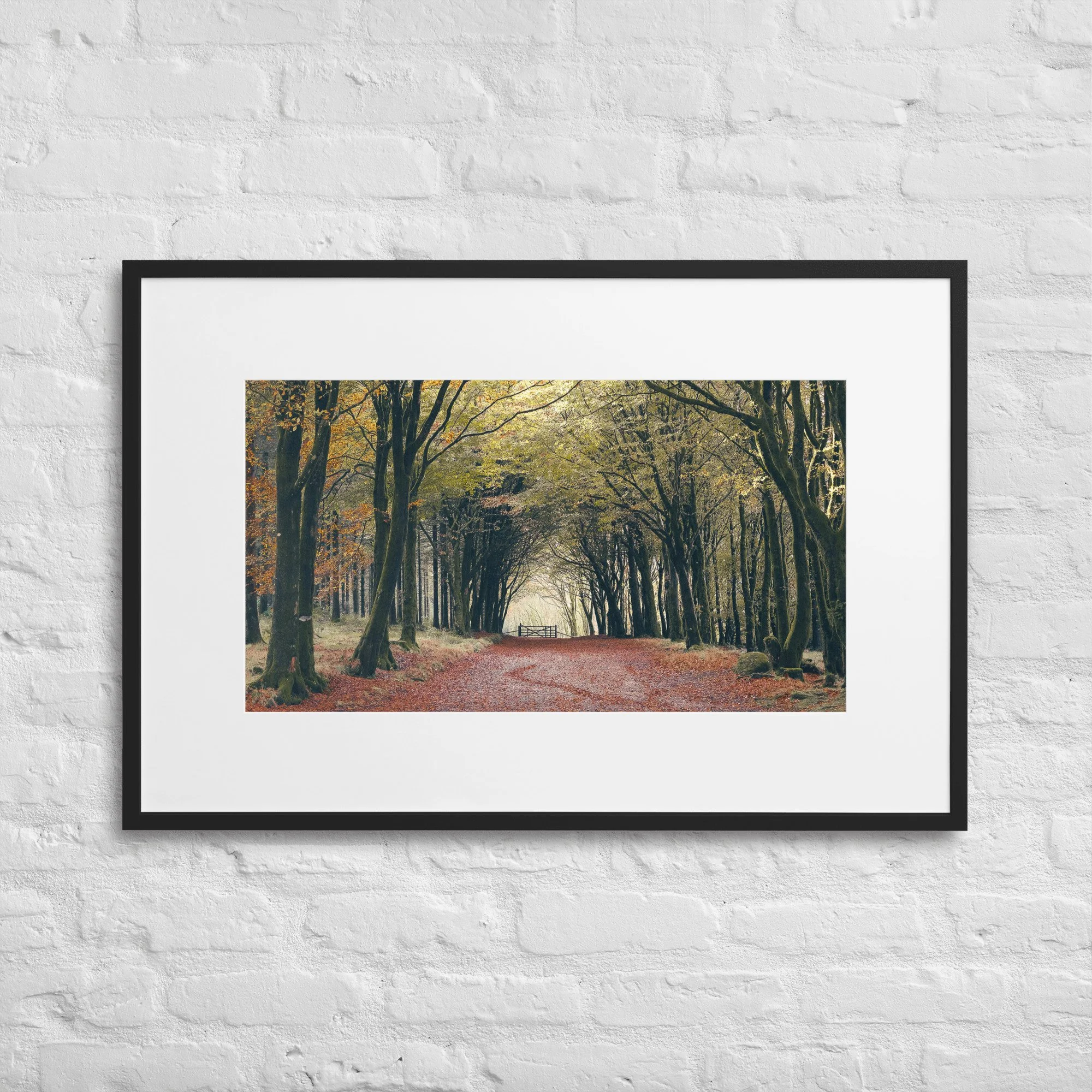 Postbridge Woods in Autumn Framed