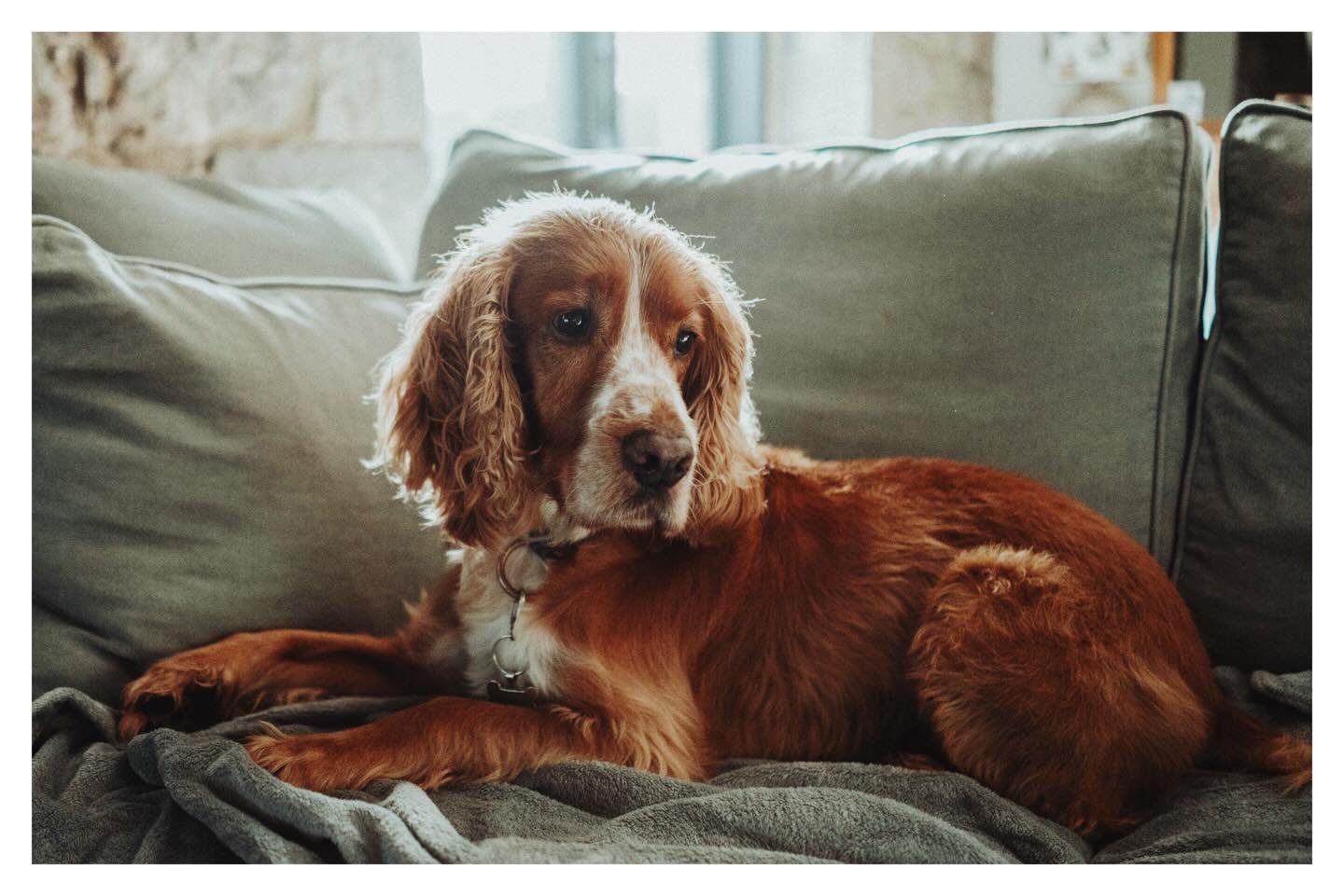 Sony A9 / FE 28mm f2 &hellip;&hellip;&hellip;&hellip;&hellip;&hellip;&hellip;&hellip;&hellip;&hellip;&hellip;&hellip;&hellip;&hellip;&hellip;&hellip;&hellip;&hellip;&hellip;&hellip;&hellip;&hellip;&hellip;&hellip;&hellip;&hellip;&hellip;&hellip;&hell