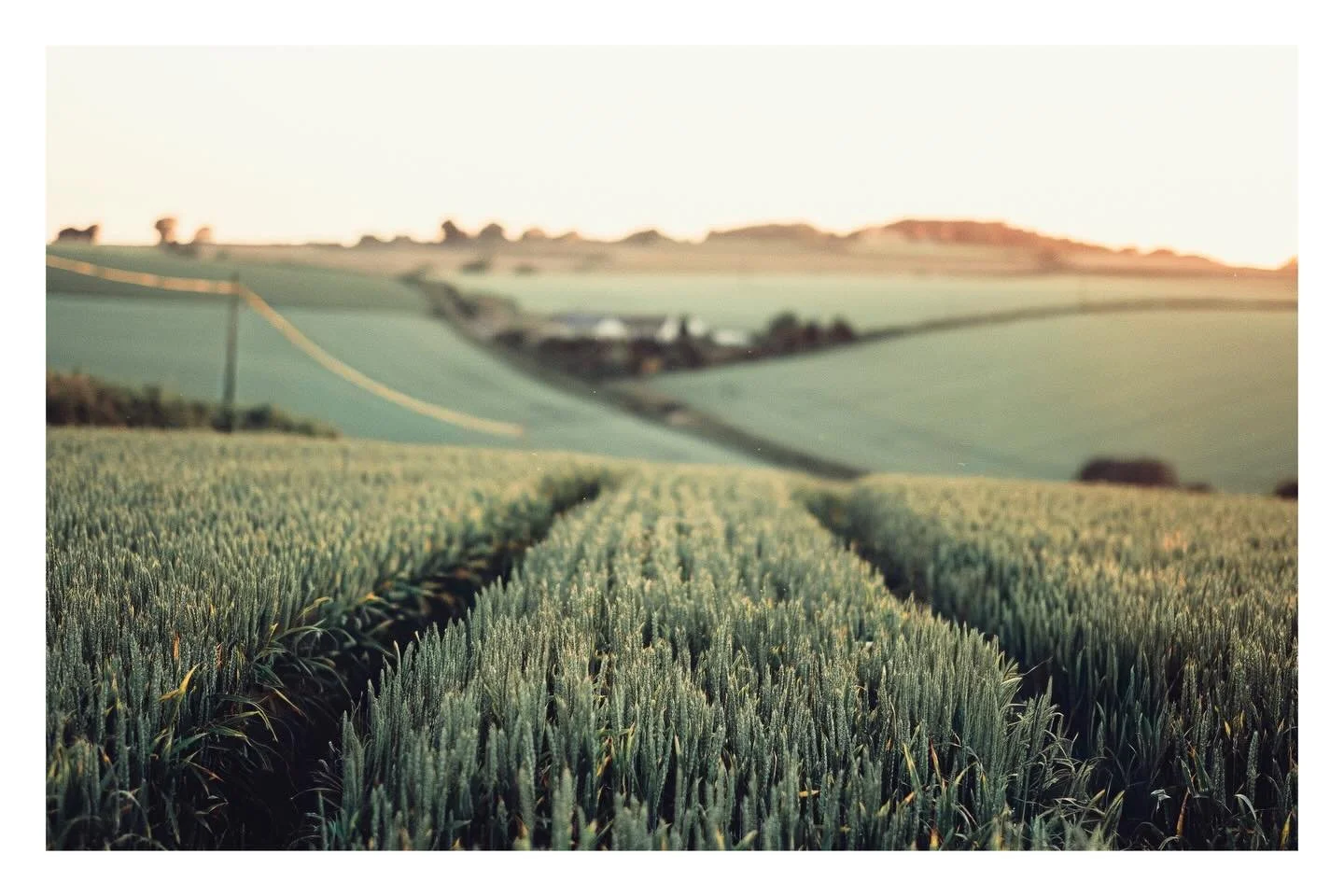 Fuji Xpro2 / XF 56mm F1.2 &hellip;&hellip;&hellip;&hellip;&hellip;&hellip;&hellip;&hellip;&hellip;&hellip;&hellip;&hellip;&hellip;&hellip;&hellip;&hellip;&hellip;&hellip;&hellip;&hellip;..&hellip;&hellip;&hellip;&hellip;&hellip;&hellip;&hellip;&helli