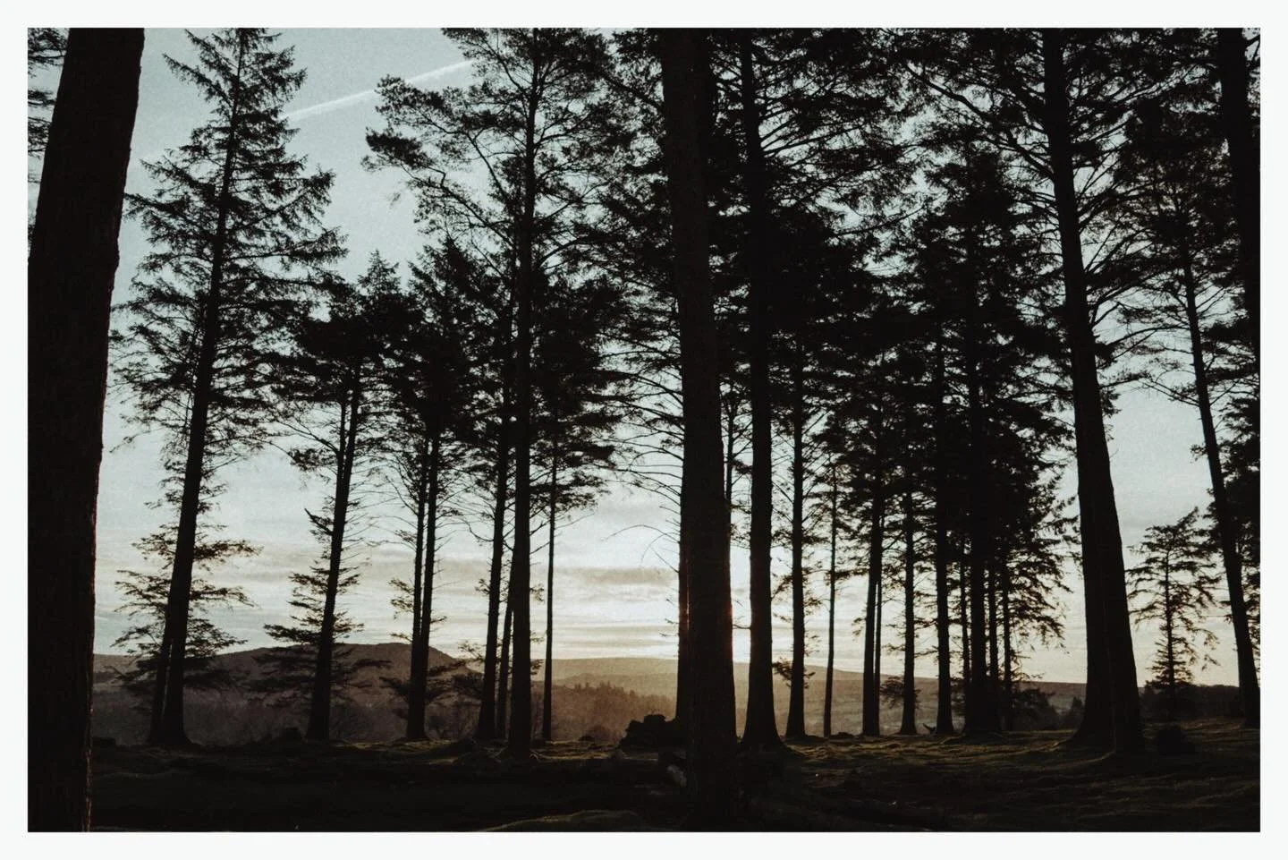 Fujifilm Xpro2 / xf35mm f2 &hellip;&hellip;&hellip;&hellip;&hellip;&hellip;&hellip;&hellip;&hellip;&hellip;&hellip;&hellip;&hellip;&hellip;&hellip;. #fujifilm #xpro2 #dartmoor #devon #morning #lovedartmoor