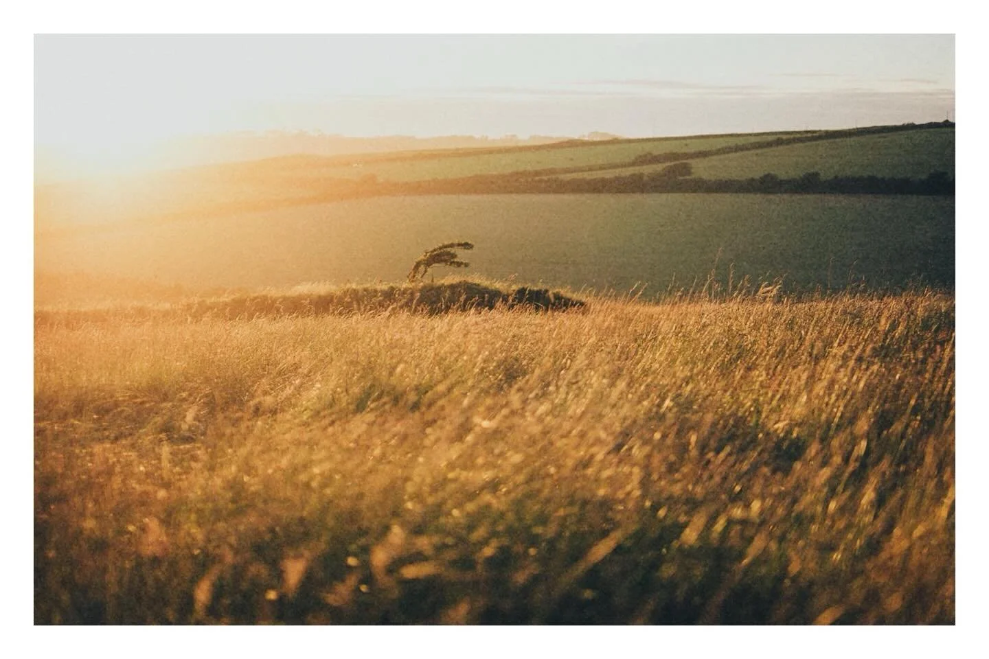 Fuji XT1 / XF 35mm f1.4&hellip;&hellip;&hellip;&hellip;&hellip;&hellip;&hellip;&hellip;&hellip;&hellip;&hellip;&hellip;&hellip;&hellip;&hellip;&hellip;&hellip;&hellip;&hellip;&hellip;&hellip;&hellip;&hellip;&hellip;&hellip;&hellip;&hellip;&hellip;&he