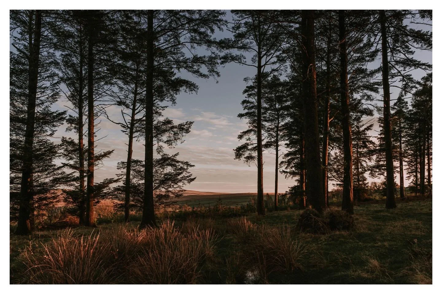 Sony A9 / FE 28mm F2 &hellip;&hellip;&hellip;&hellip;&hellip;&hellip;&hellip;&hellip;&hellip;&hellip;&hellip;&hellip;&hellip;&hellip;&hellip;&hellip;&hellip;&hellip;&hellip;&hellip;&hellip;&hellip;&hellip;&hellip;&hellip;&hellip;&hellip;&hellip;&hell