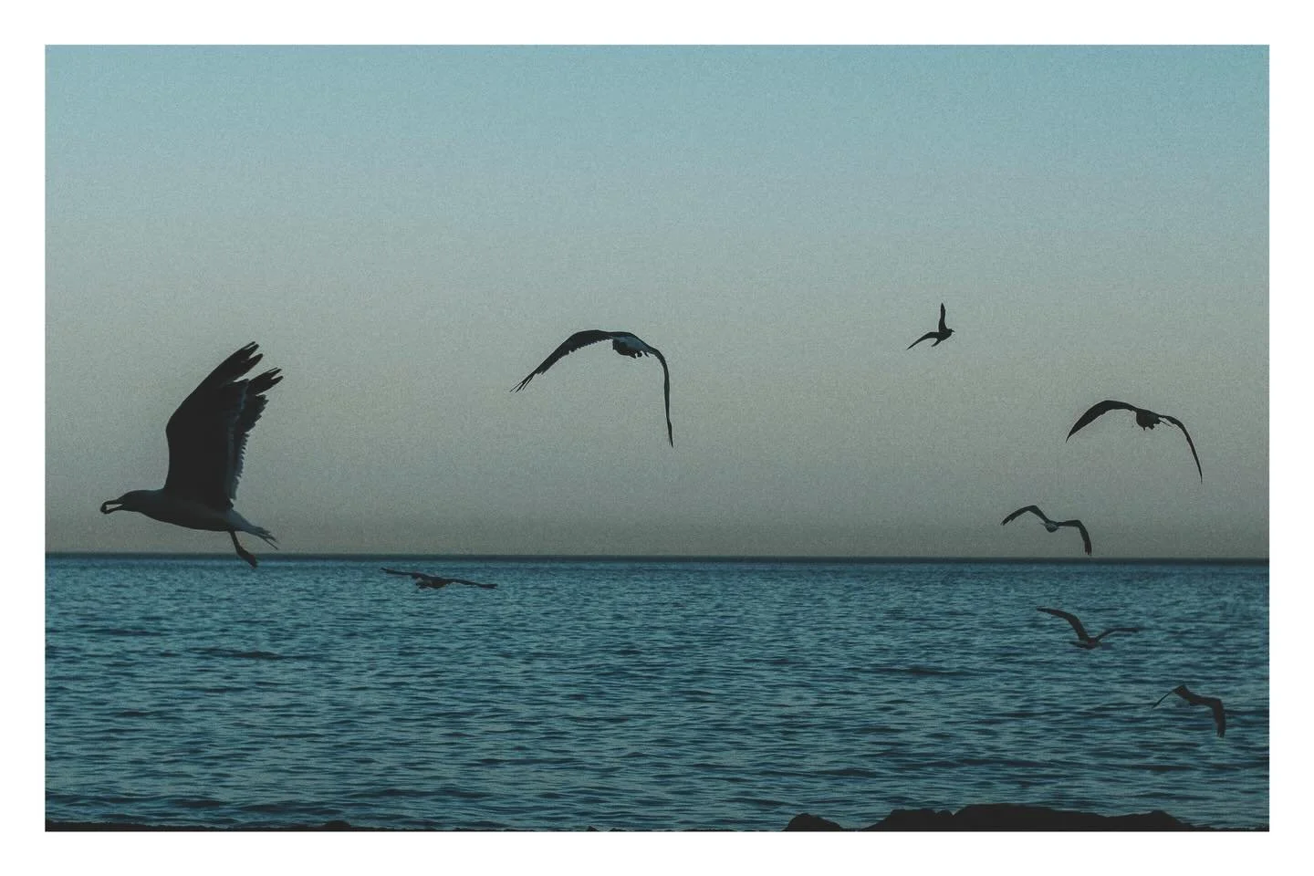 Fuji XT2 / XF35mm f2 &hellip;&hellip;&hellip;&hellip;&hellip;&hellip;&hellip;&hellip;&hellip;&hellip;&hellip;&hellip;&hellip;&hellip;&hellip;&hellip;&hellip;&hellip;&hellip;&hellip;&hellip;&hellip;&hellip;&hellip;&hellip;&hellip;&hellip;&hellip;&hell