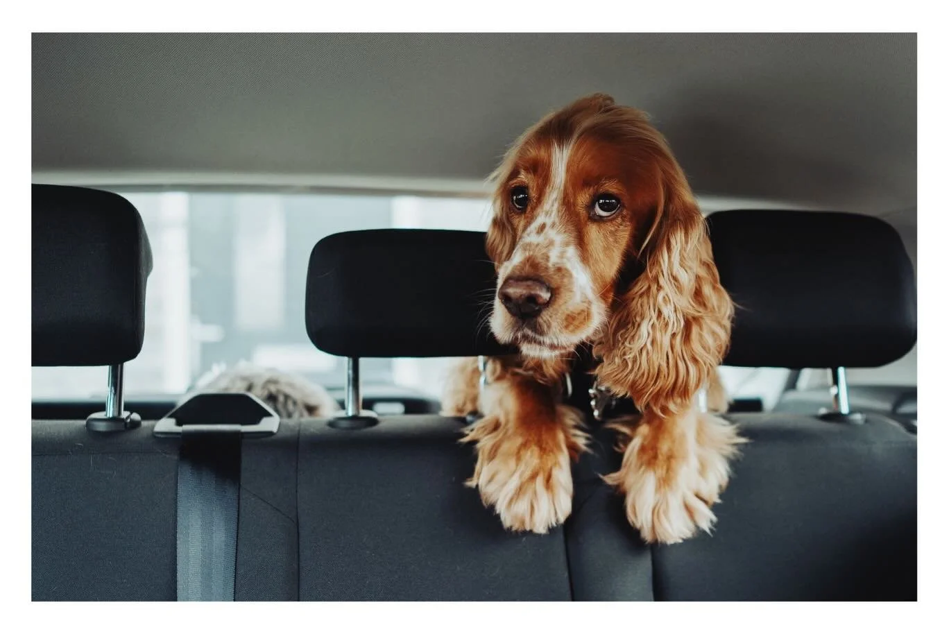 Sony RX1 &hellip;&hellip;&hellip;&hellip;&hellip;&hellip;&hellip;&hellip;&hellip;&hellip;&hellip;&hellip;&hellip;&hellip;&hellip;&hellip;&hellip;&hellip;&hellip;&hellip;&hellip;&hellip;&hellip;&hellip;&hellip;&hellip;&hellip;&hellip;&hellip;&hellip;&