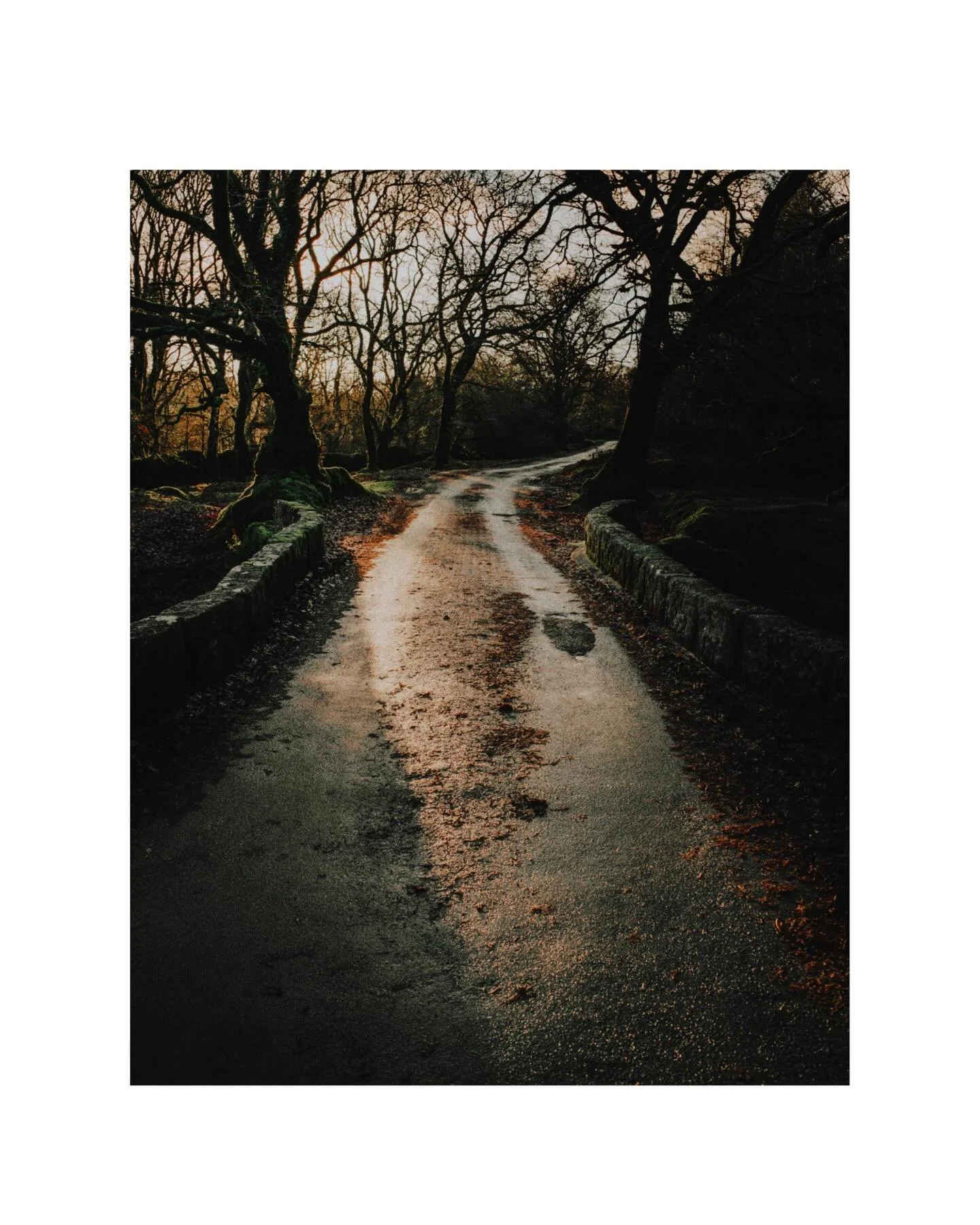 Sony A9 / FE 28mm F2 &hellip;&hellip;&hellip;&hellip;&hellip;&hellip;&hellip;&hellip;&hellip;&hellip;&hellip;&hellip;&hellip;&hellip;&hellip;&hellip;&hellip;&hellip;&hellip;&hellip;&hellip;&hellip;&hellip;&hellip;&hellip;&hellip;&hellip;&hellip;&hell