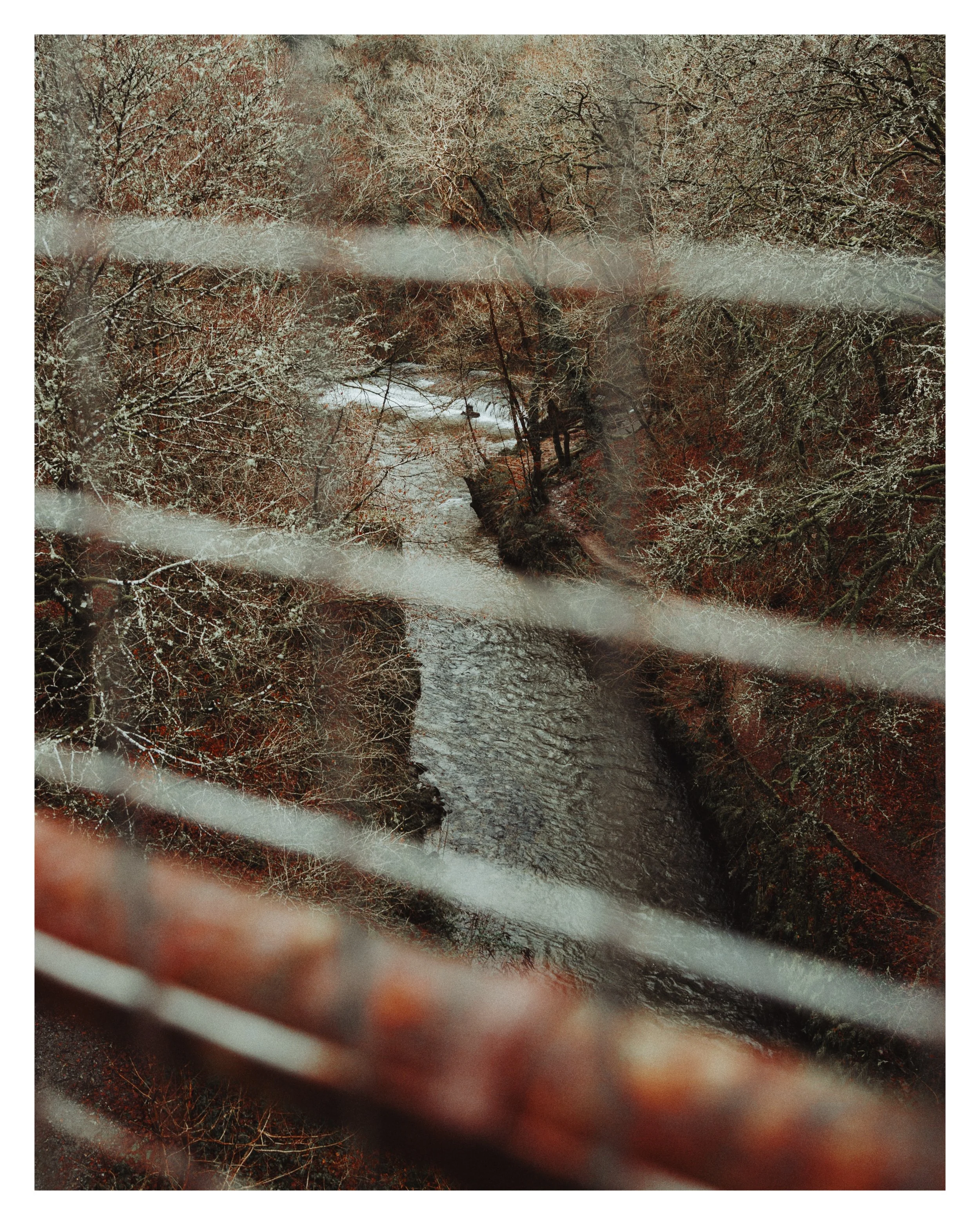 River Plym from the viaduct