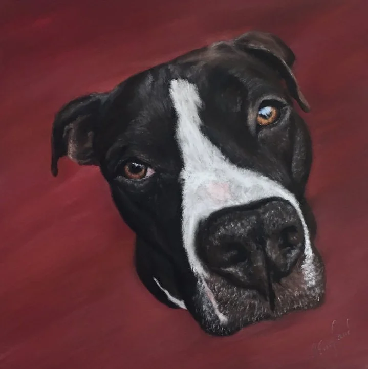 "Joe" Soft pastel on pastel panel 8" x 8" Olympia, WA