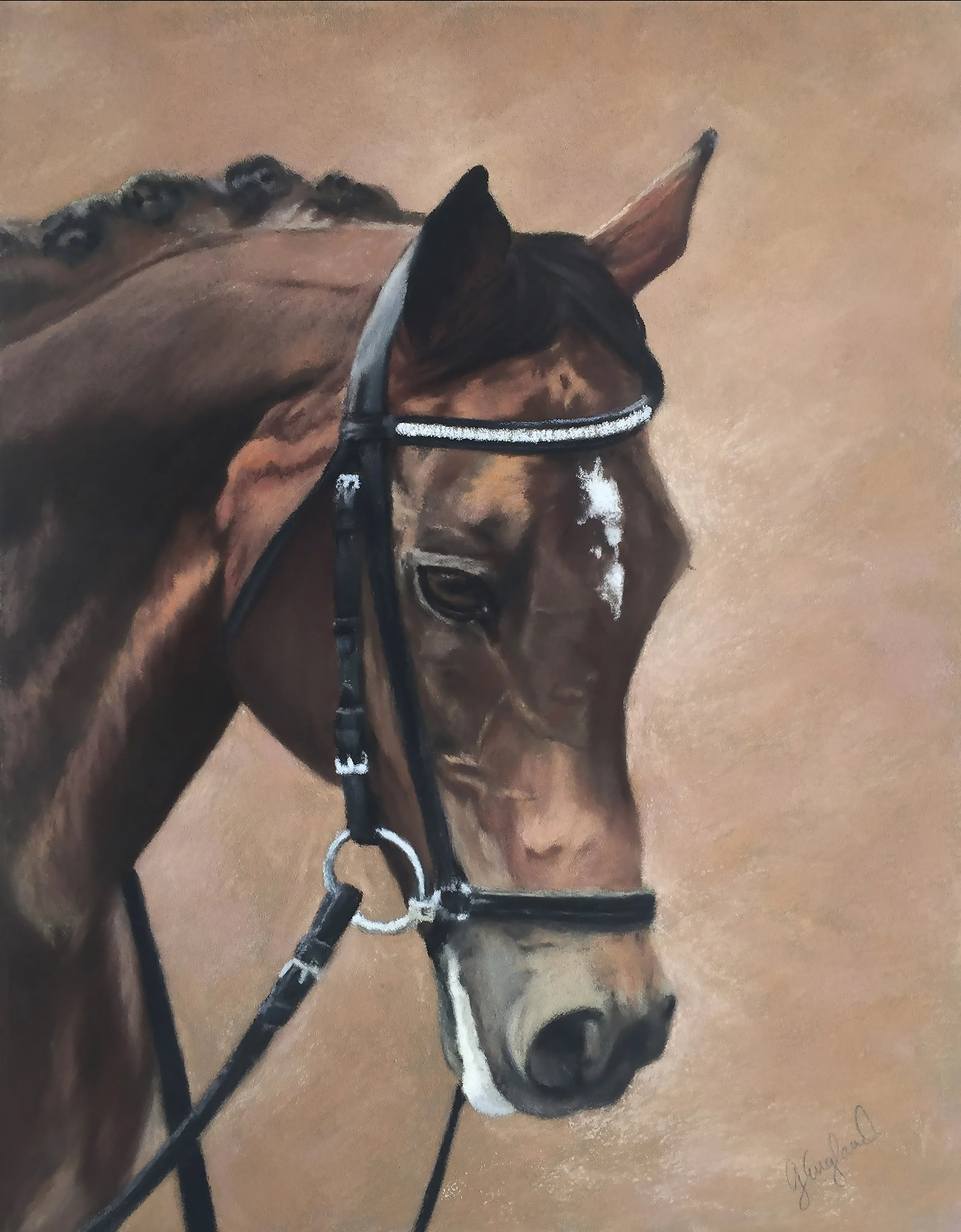 Galway. 11" x 14" Soft pastel on sanded pastel panel. A very much loved TB that gave his family years of enjoyment. Commission.
