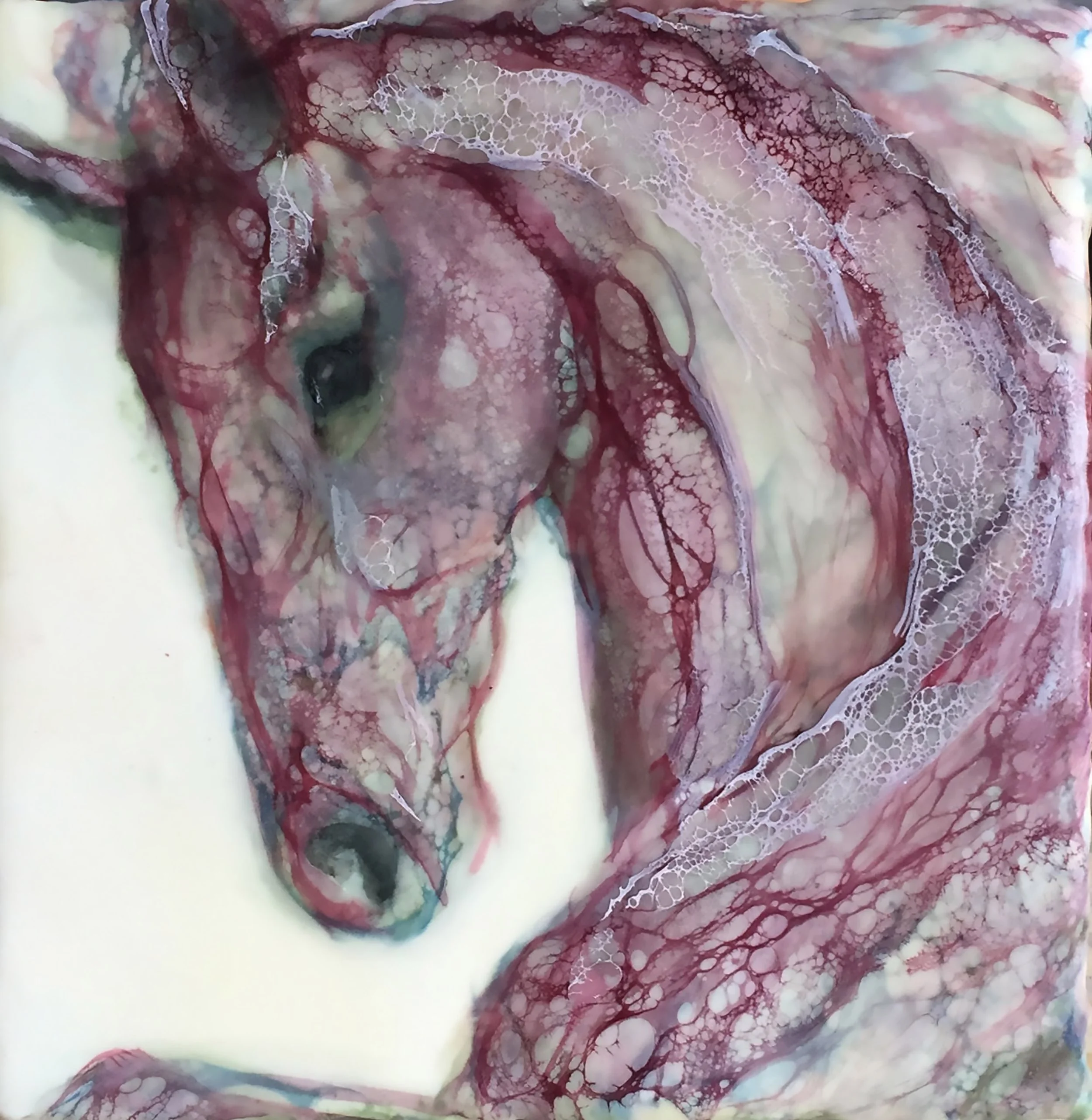 Red Horse - Encaustic and mixed media on cradled wood panel 8"x8"x2" Tumwater, WA