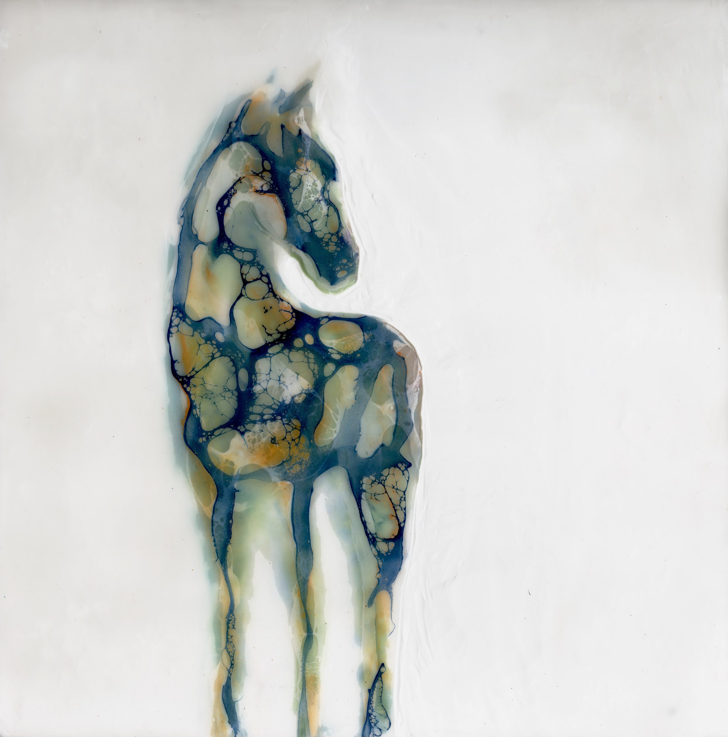 Turning Toward - Encaustic mixed media on cradled panel - 8" x 8" x2" - Olympia, WA 