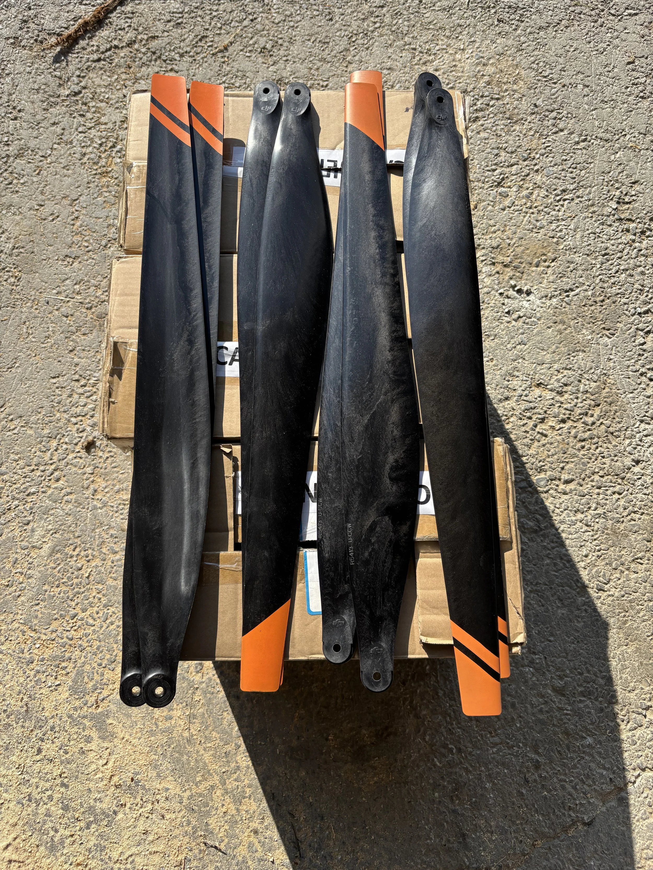 IMG_8312 - Jean-Francois.jpeg