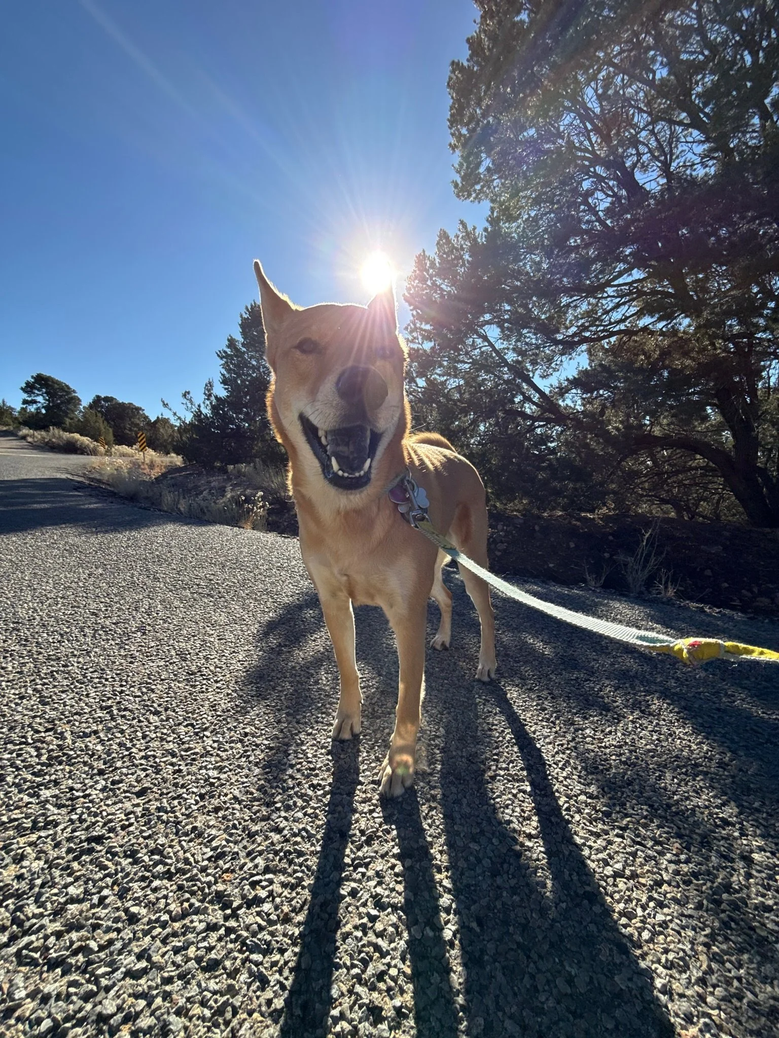 WALKING ON SUNSHINE (30 Min)