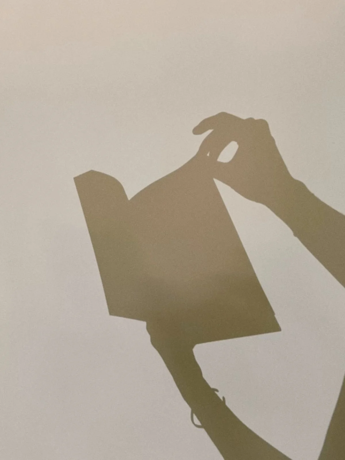 Jesus’ Pattern: No Negotiation With the Suggestion