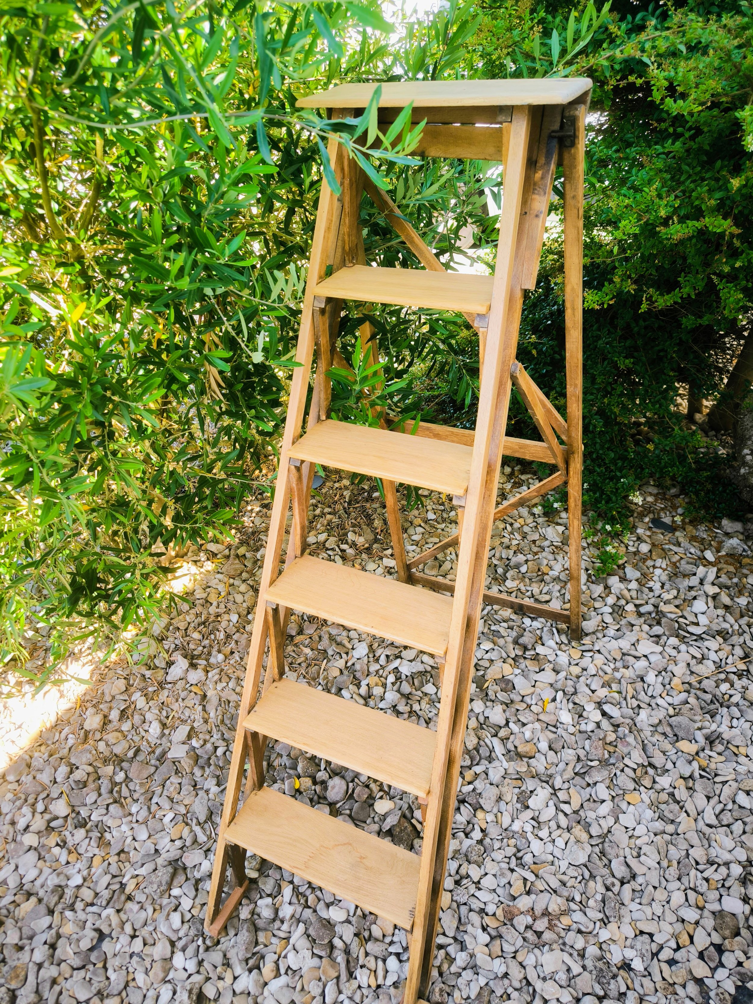 Escabeau ancien en bois posée sur un sol de gravier, entourée de végétation verte.