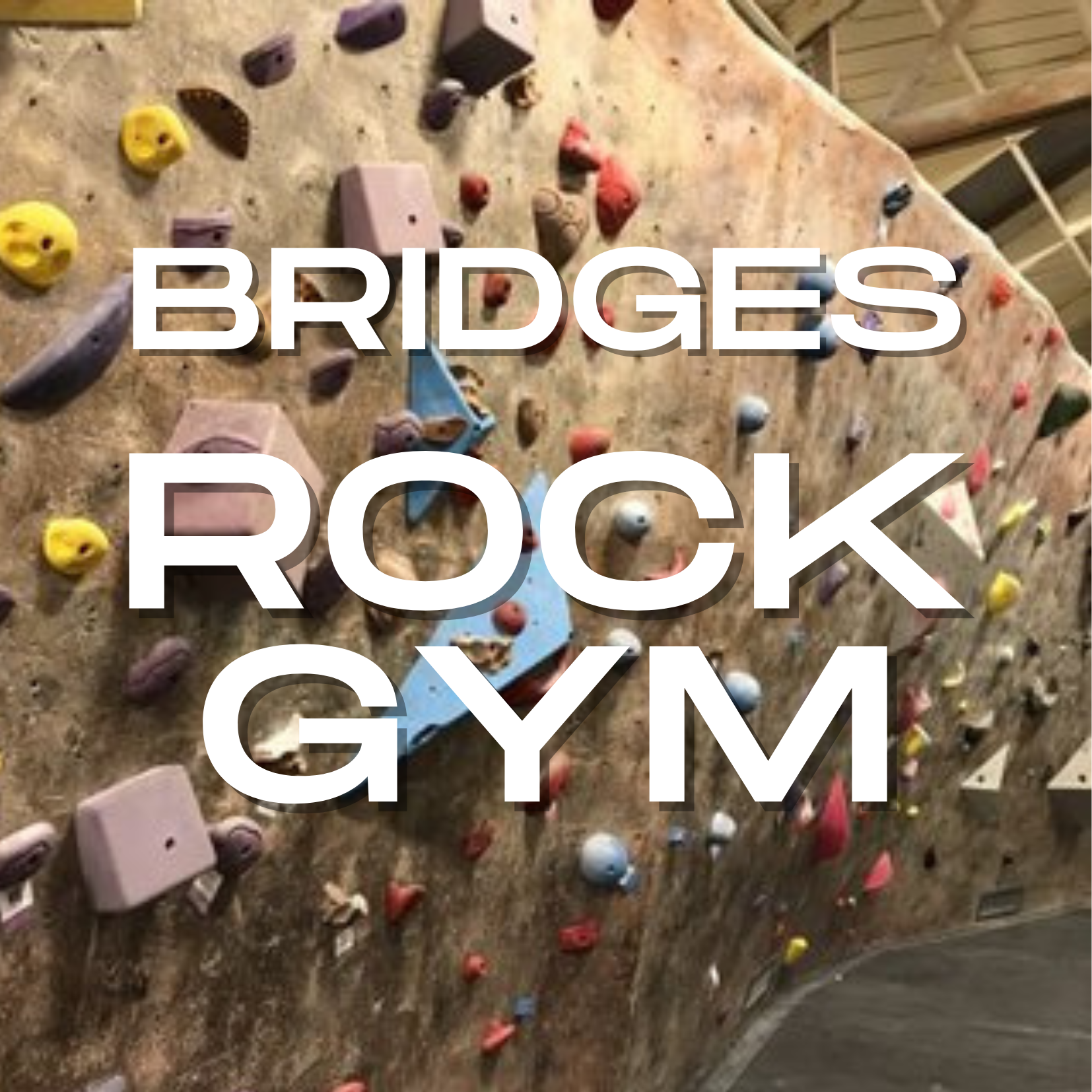 Competition Team - Sessions Competition 