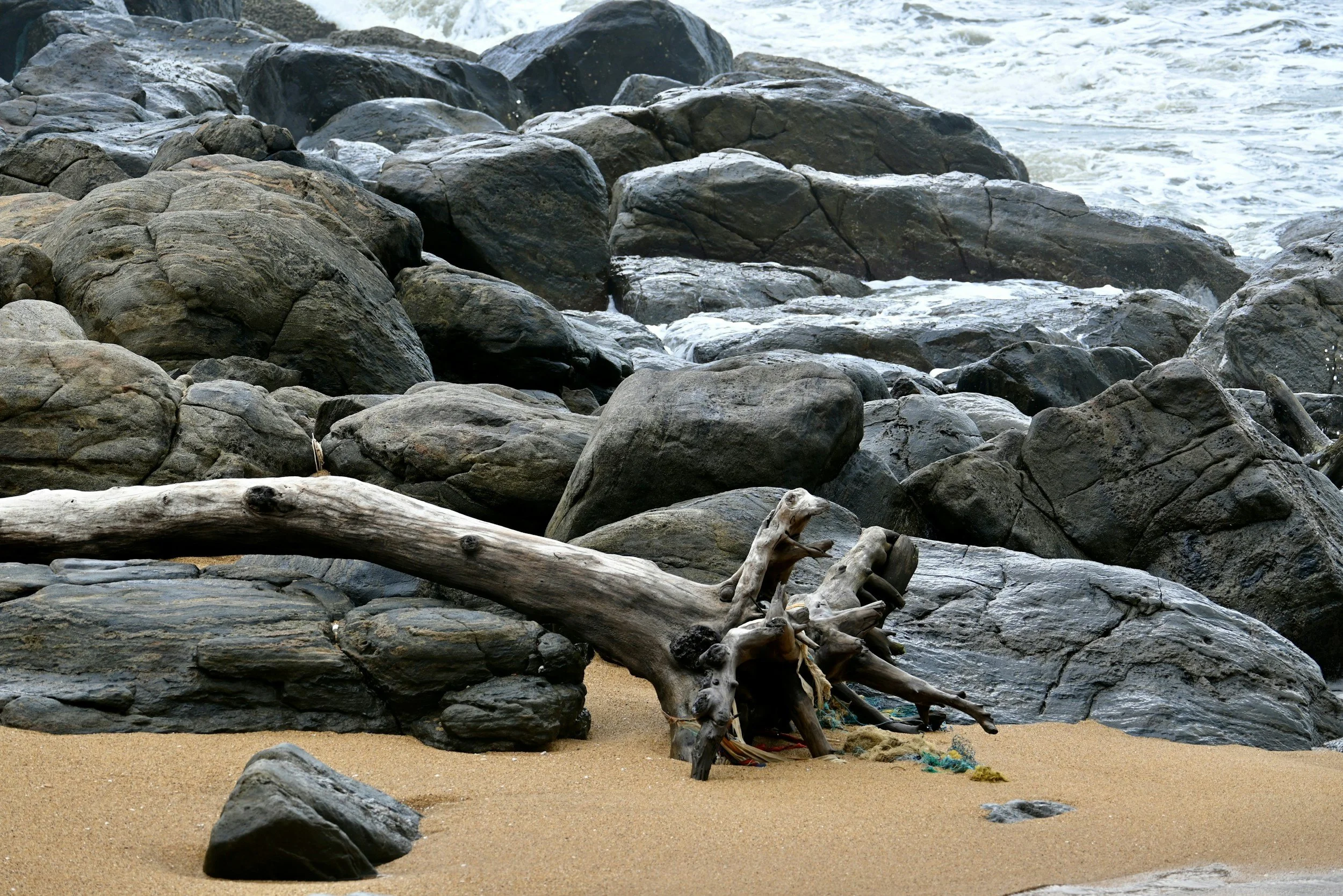 Spectrum Adventure Team Practice