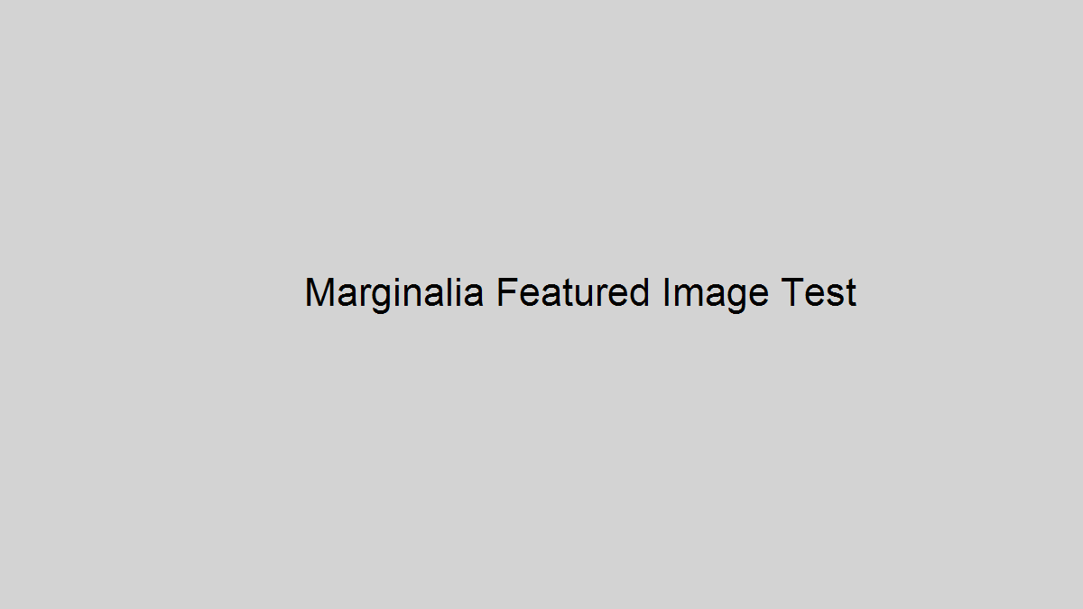 Marginalia Integrated Draft Test 20260924235010