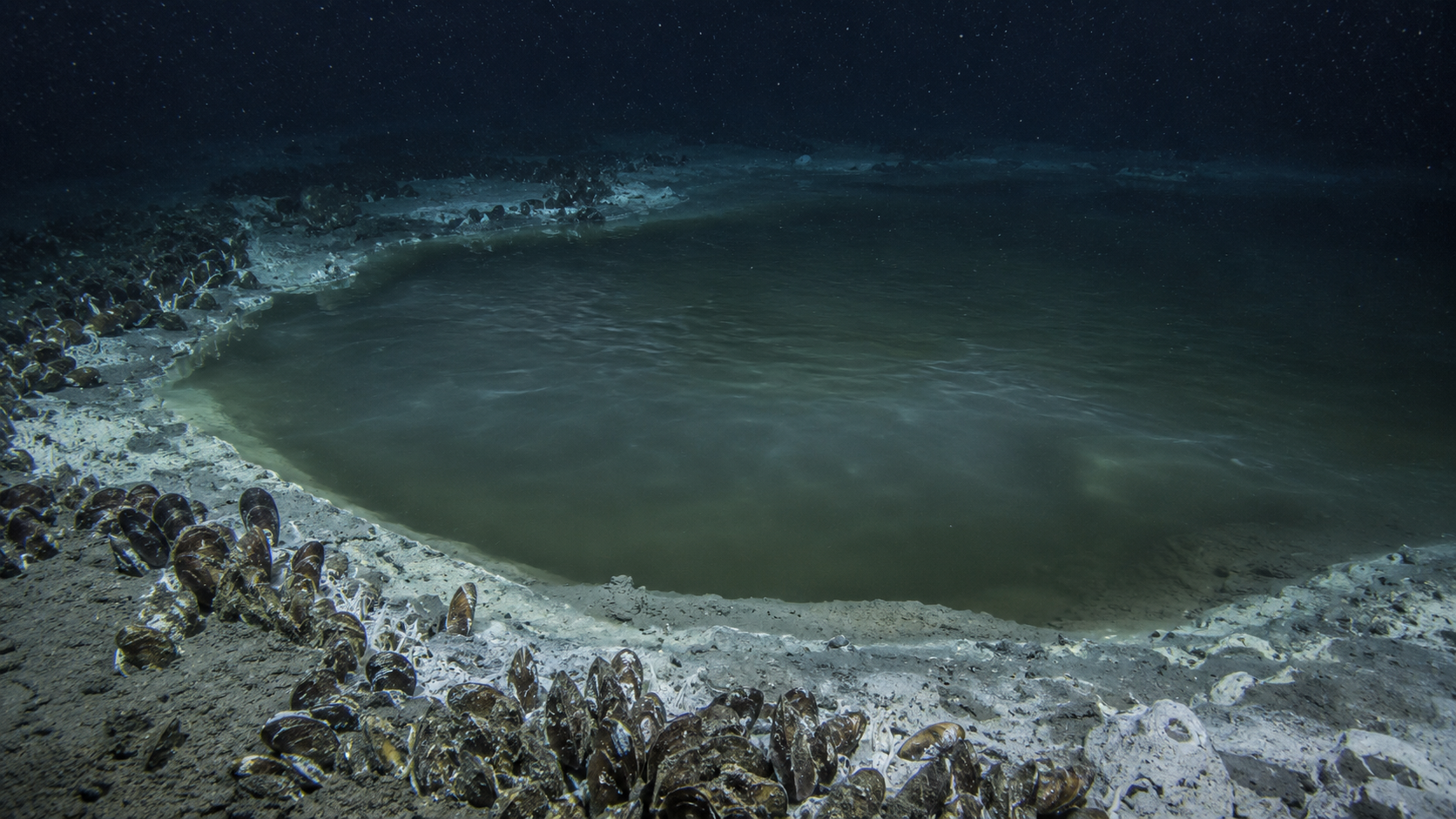 There Are Lakes at the Bottom of the Ocean