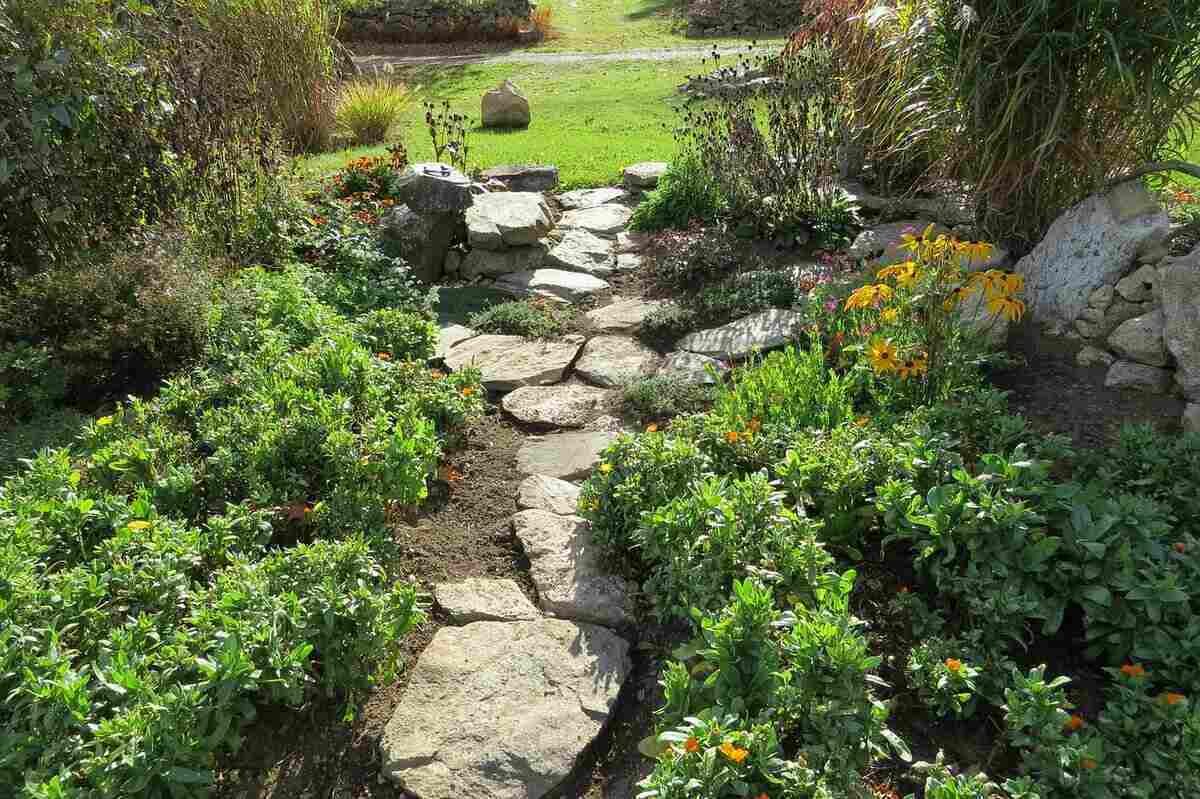 Native Plant Landscaping