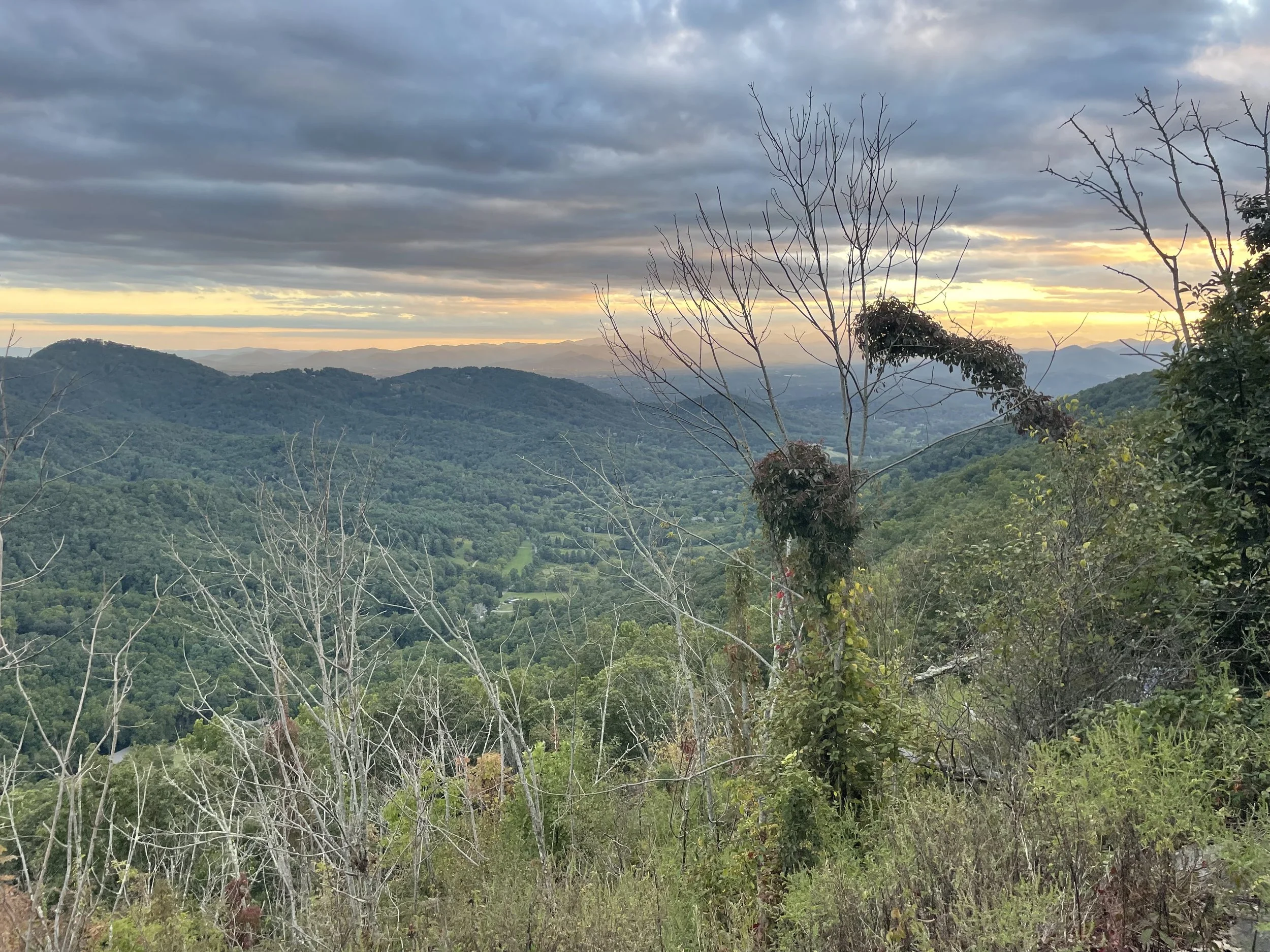 Don't See Something? Just ask!