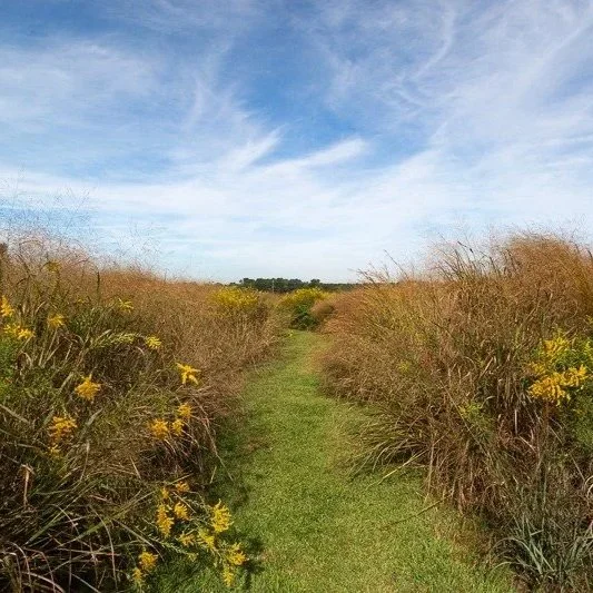 Comprehensive Ecological Land Management Services