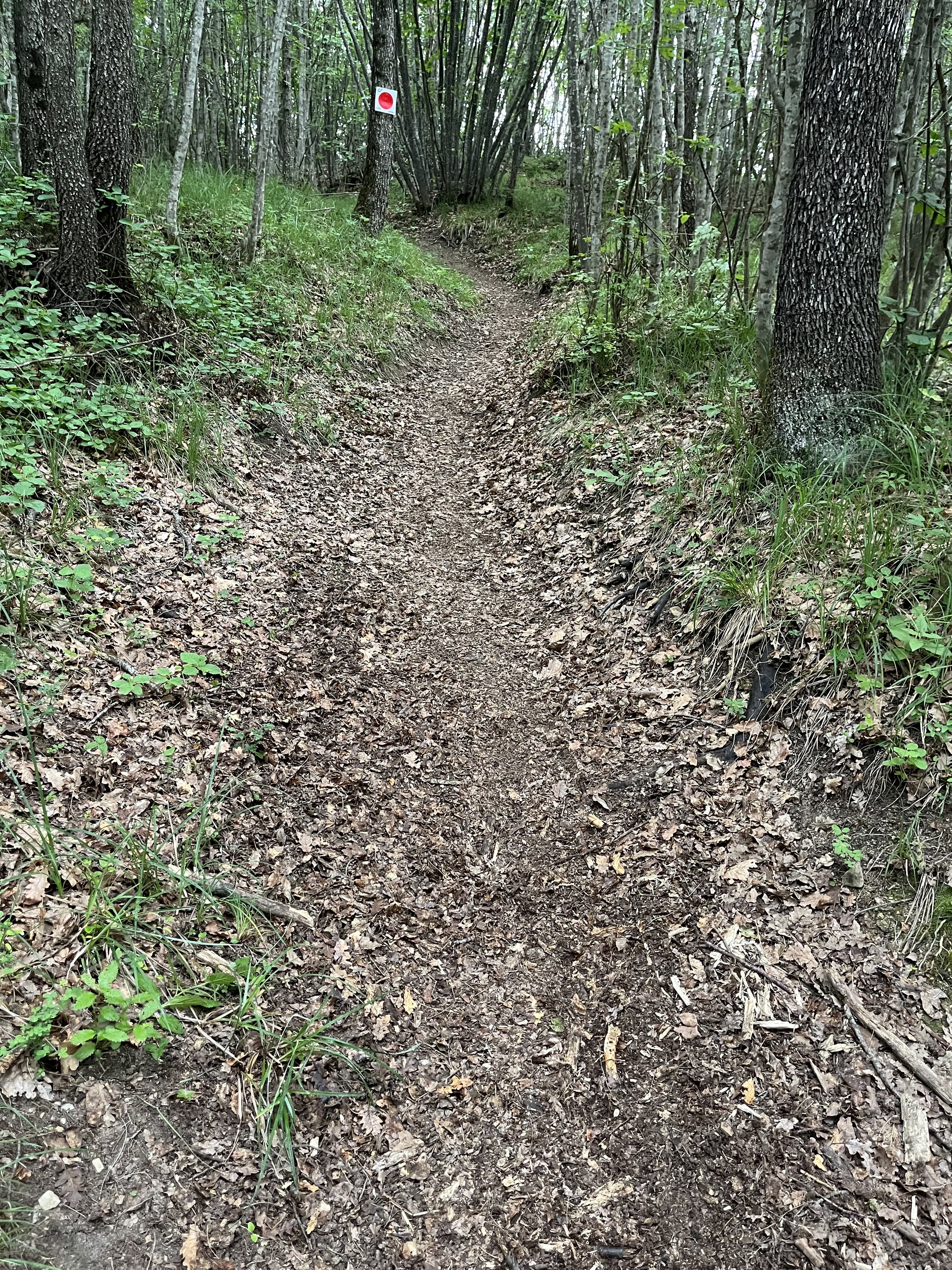 Trail Building and Maintenance