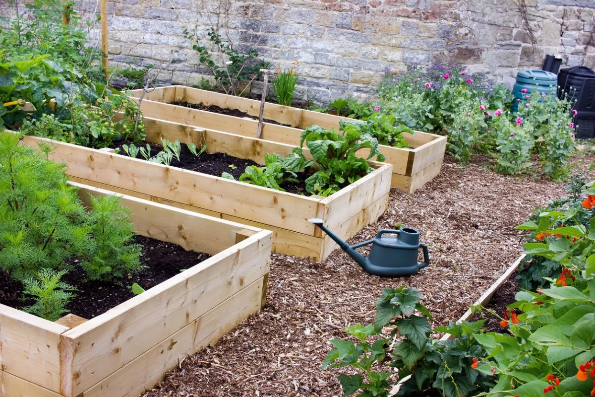 Edible Gardens and Orchard Installation