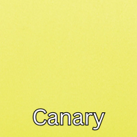 canary.png (Copy) (Copy) (Copy)
