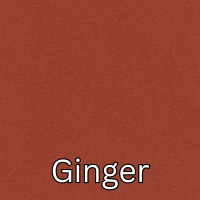 ginger.png (Copy) (Copy) (Copy)