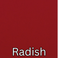 Radish.png (Copy) (Copy) (Copy)