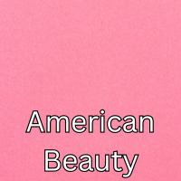 american beauty.png (Copy) (Copy) (Copy)