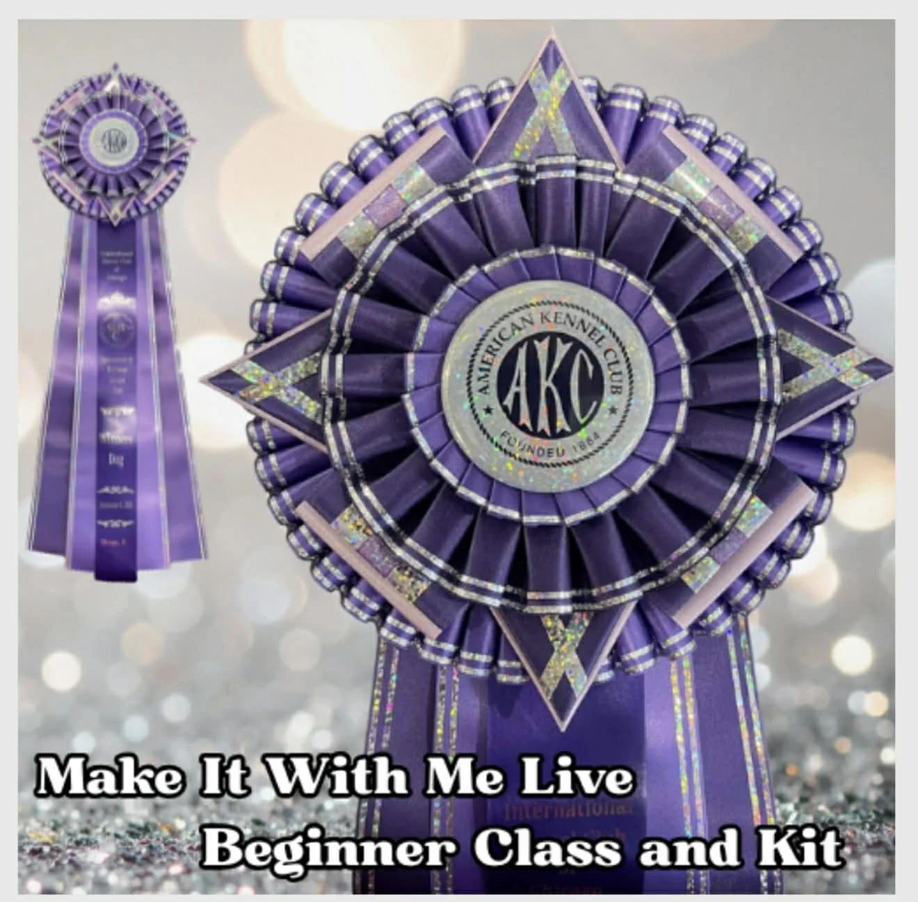 Make It With Me - Beginner Compass - Live Session and Ribbon Kit