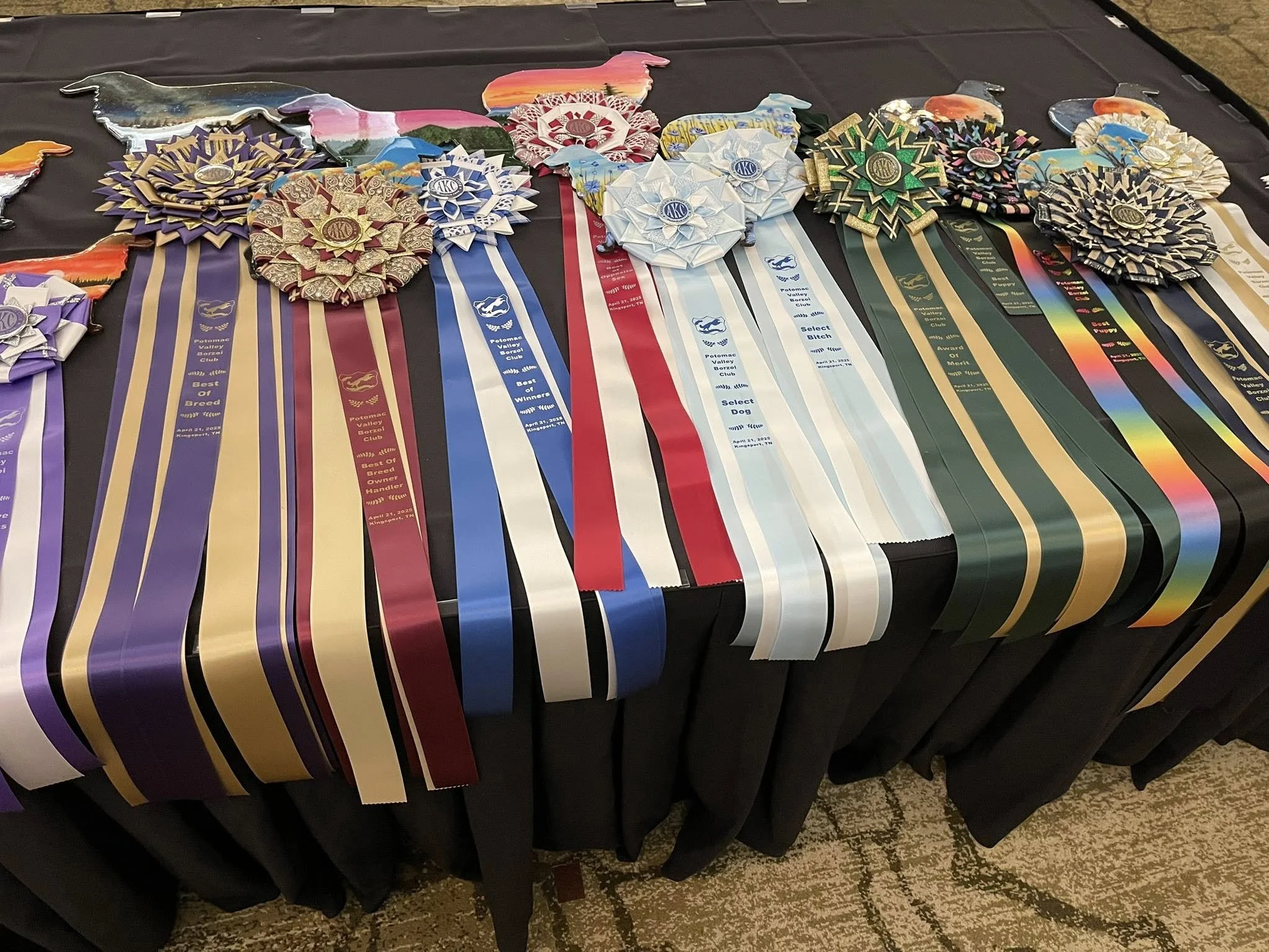 491805546_1857325198438210_8087859281114430554_n (1).jpg