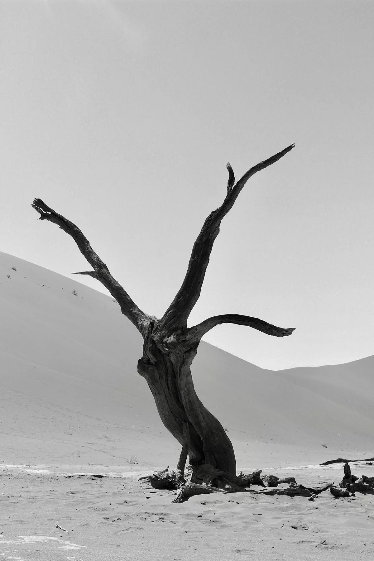 Soussusvelei, Namibia