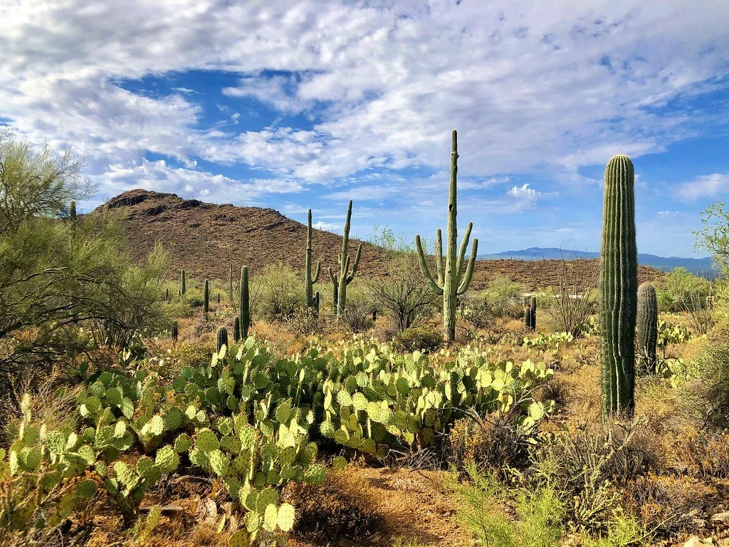 Tucson, AZ, USA